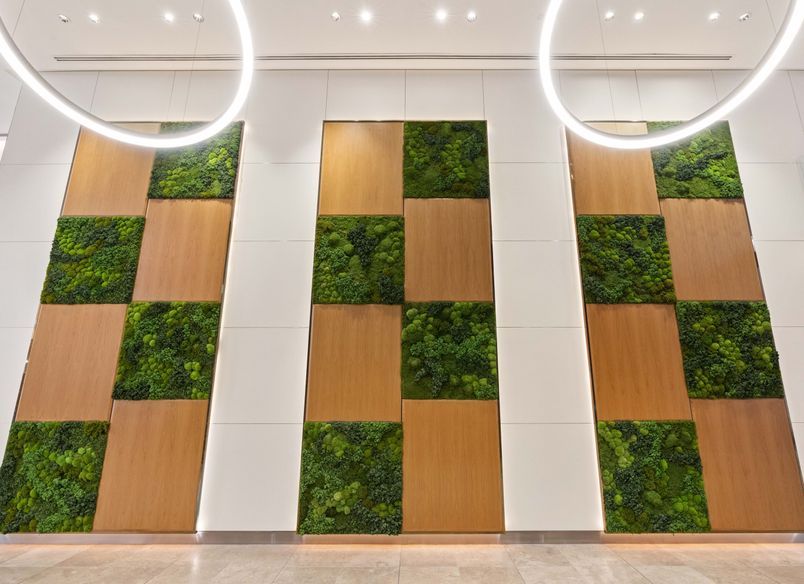 Easygreen Moss Wall