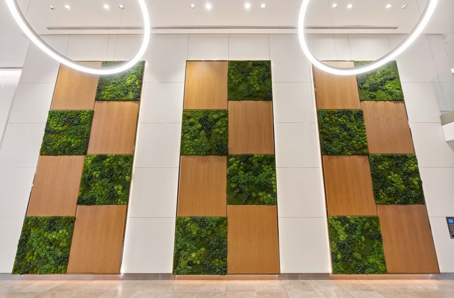 Easygreen Moss Wall