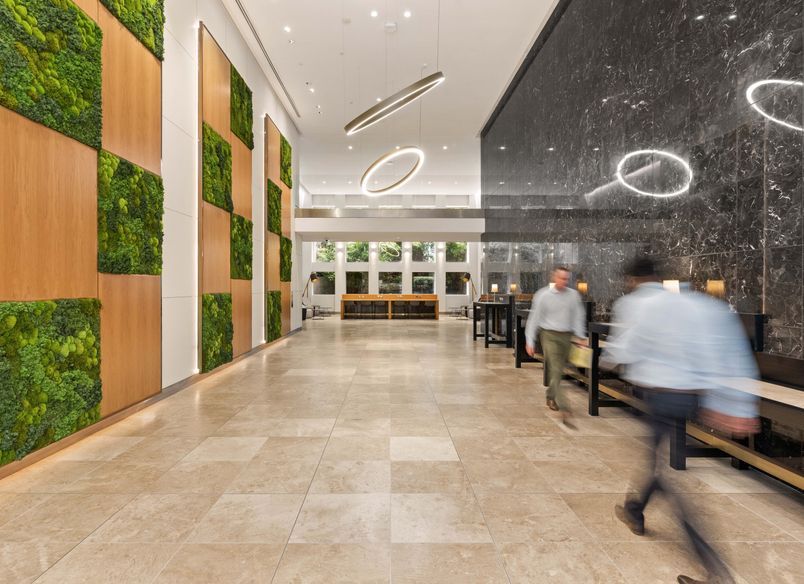 Easygreen Moss Wall