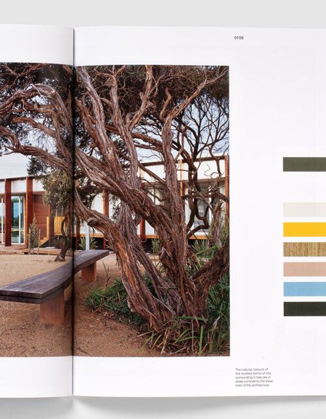 Using Australian Colour