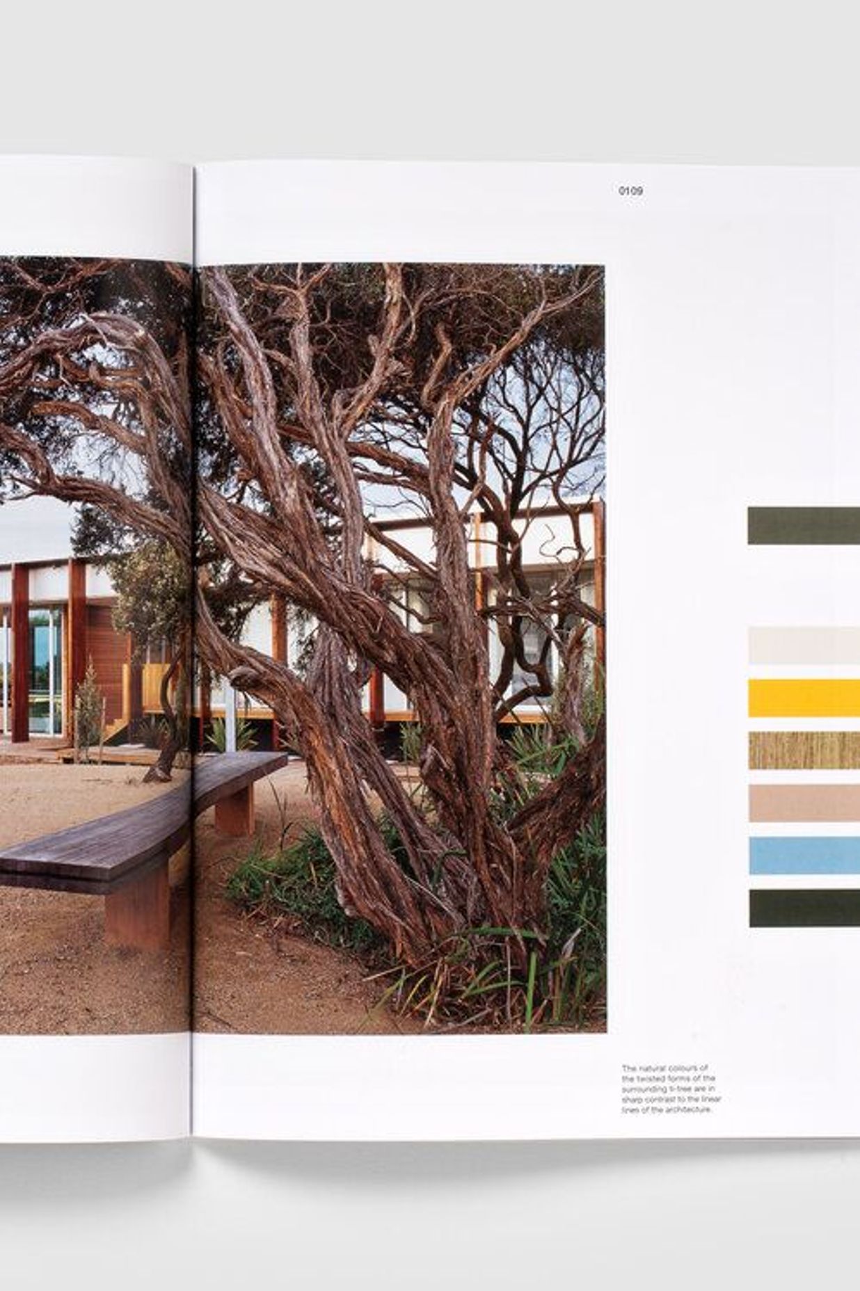 Using Australian Colour