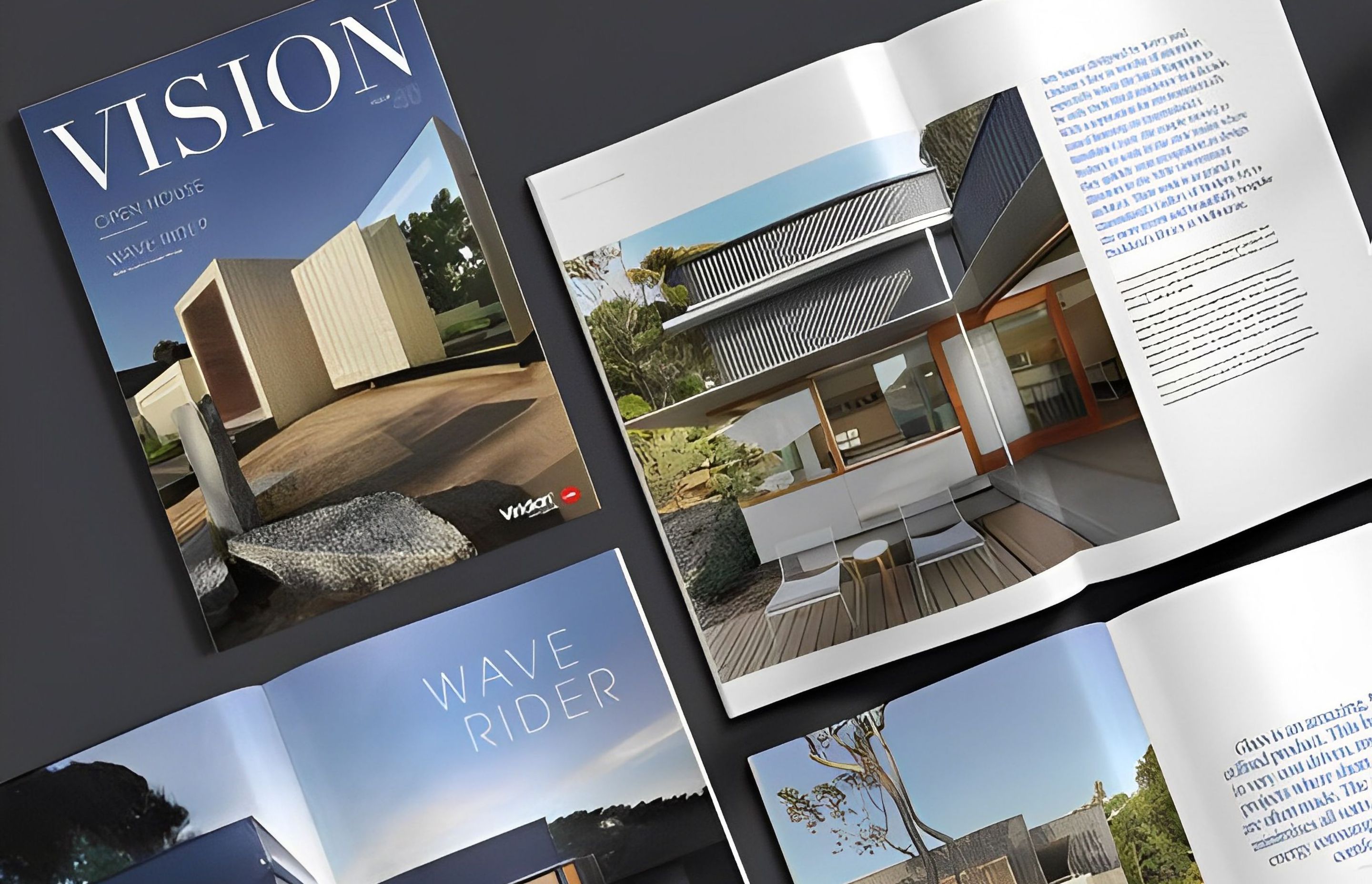 Vision Magazine