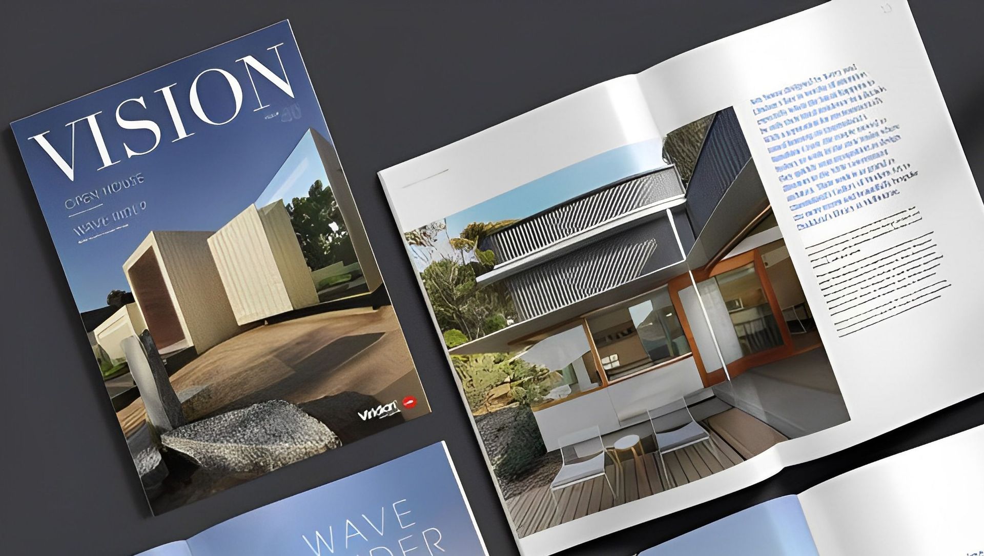 Vision Magazine banner