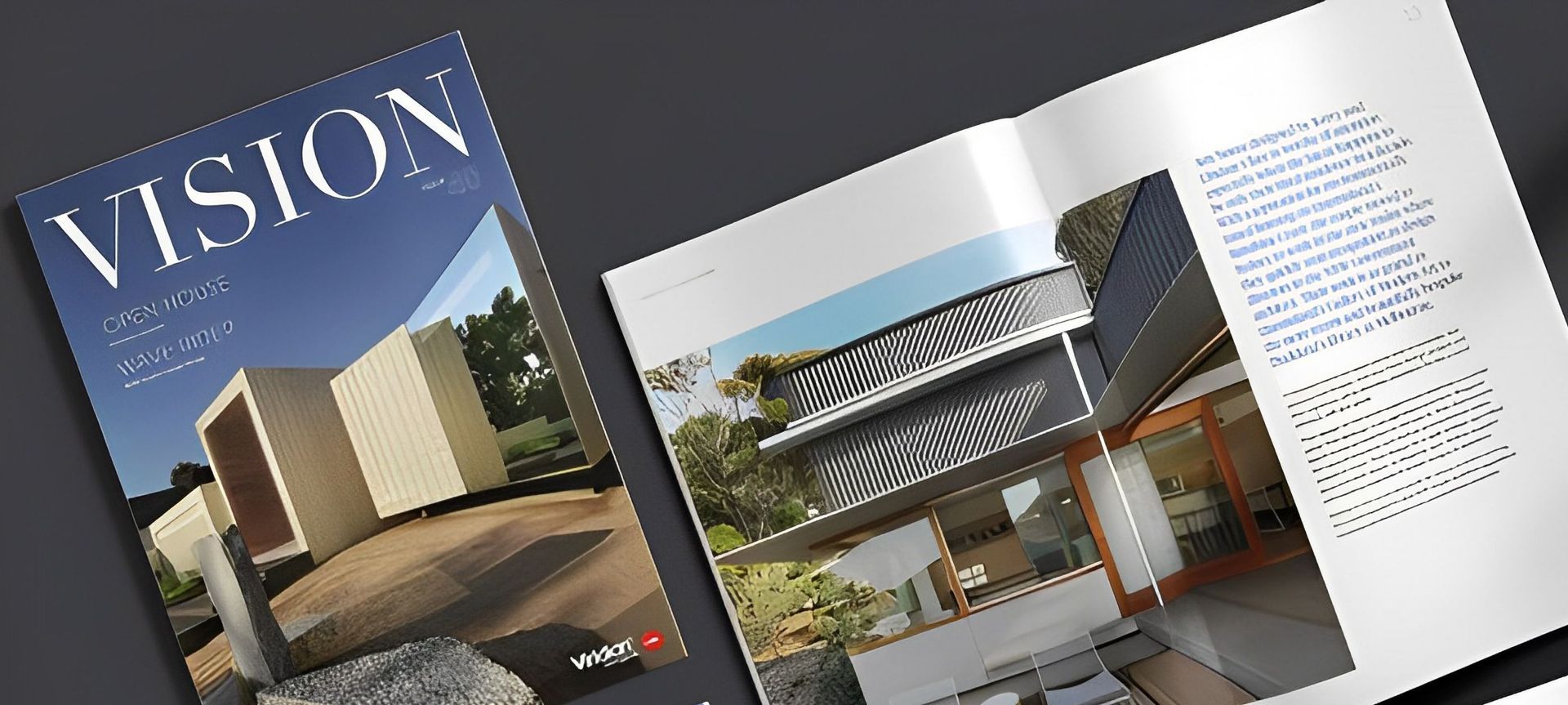 Vision Magazine banner
