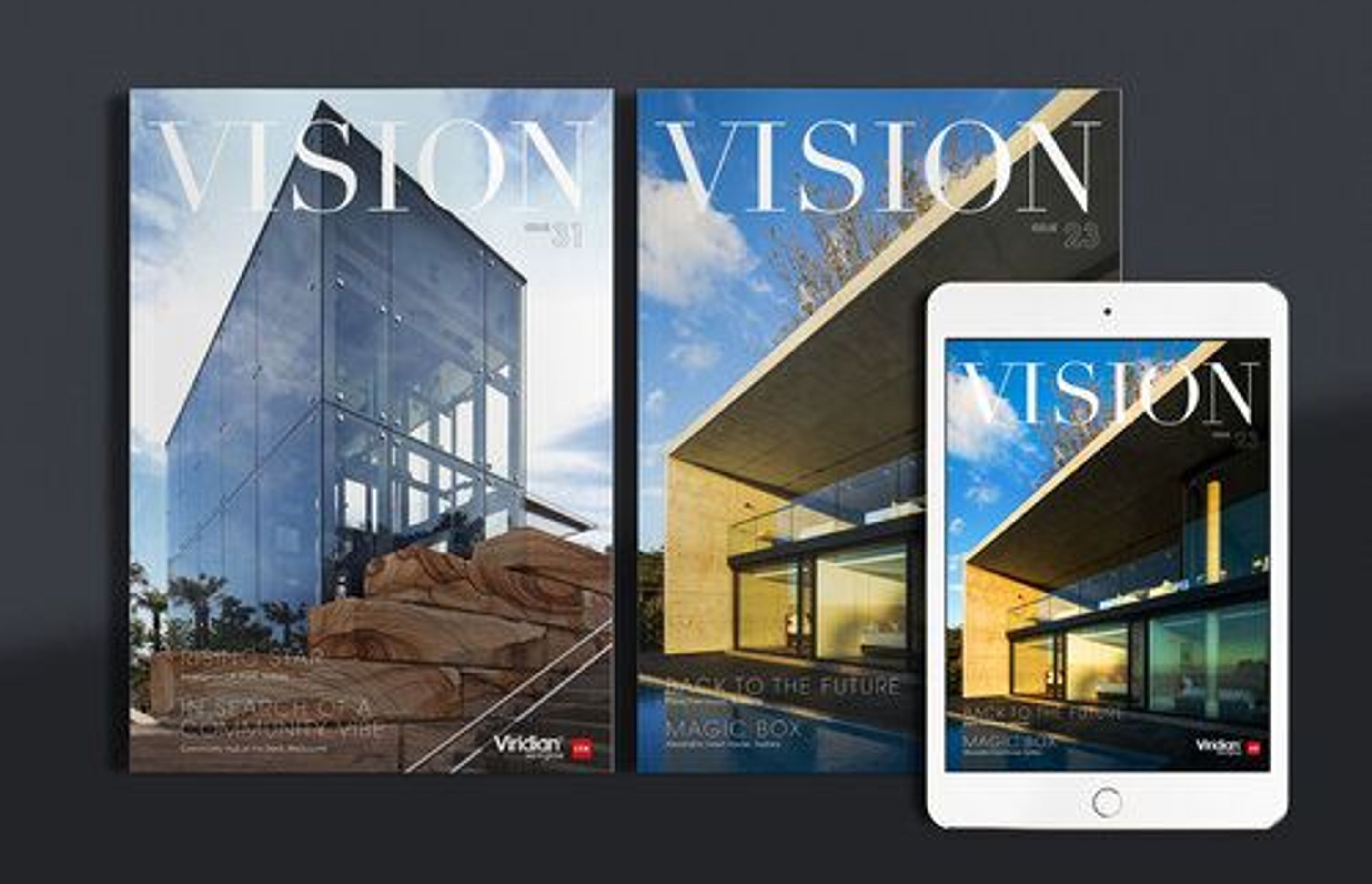 Vision Magazine