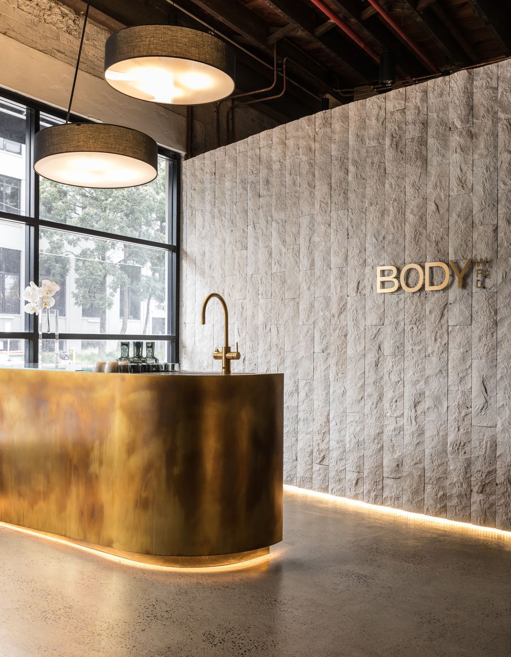 Body