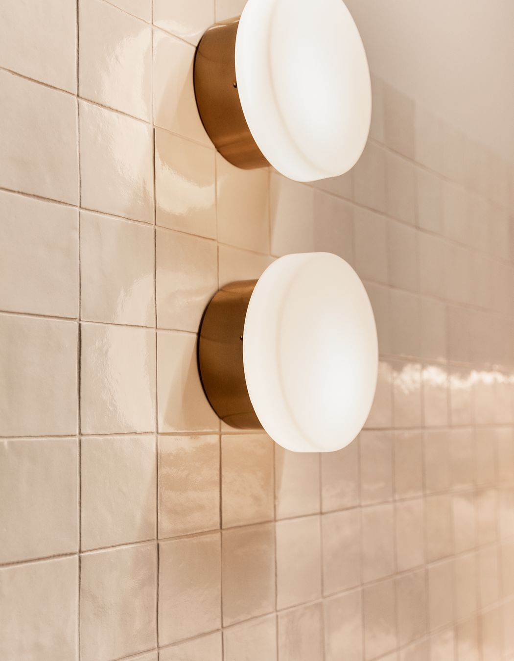 Our Lush Yellowfox Studio