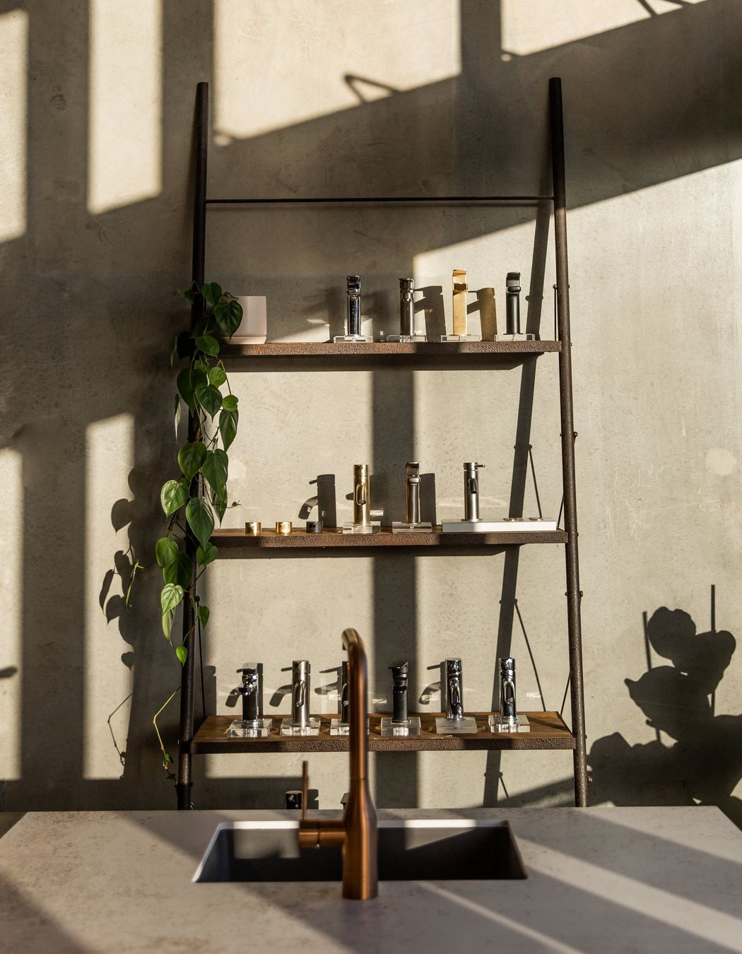 Our Lush Yellowfox Studio