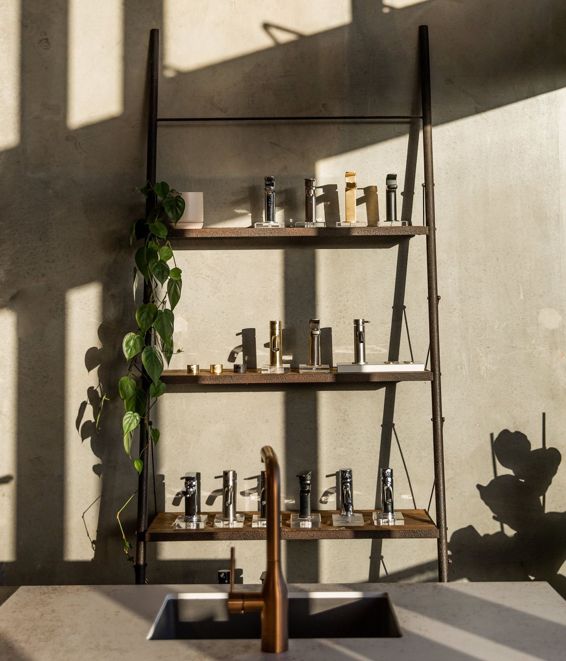 Our Lush Yellowfox Studio