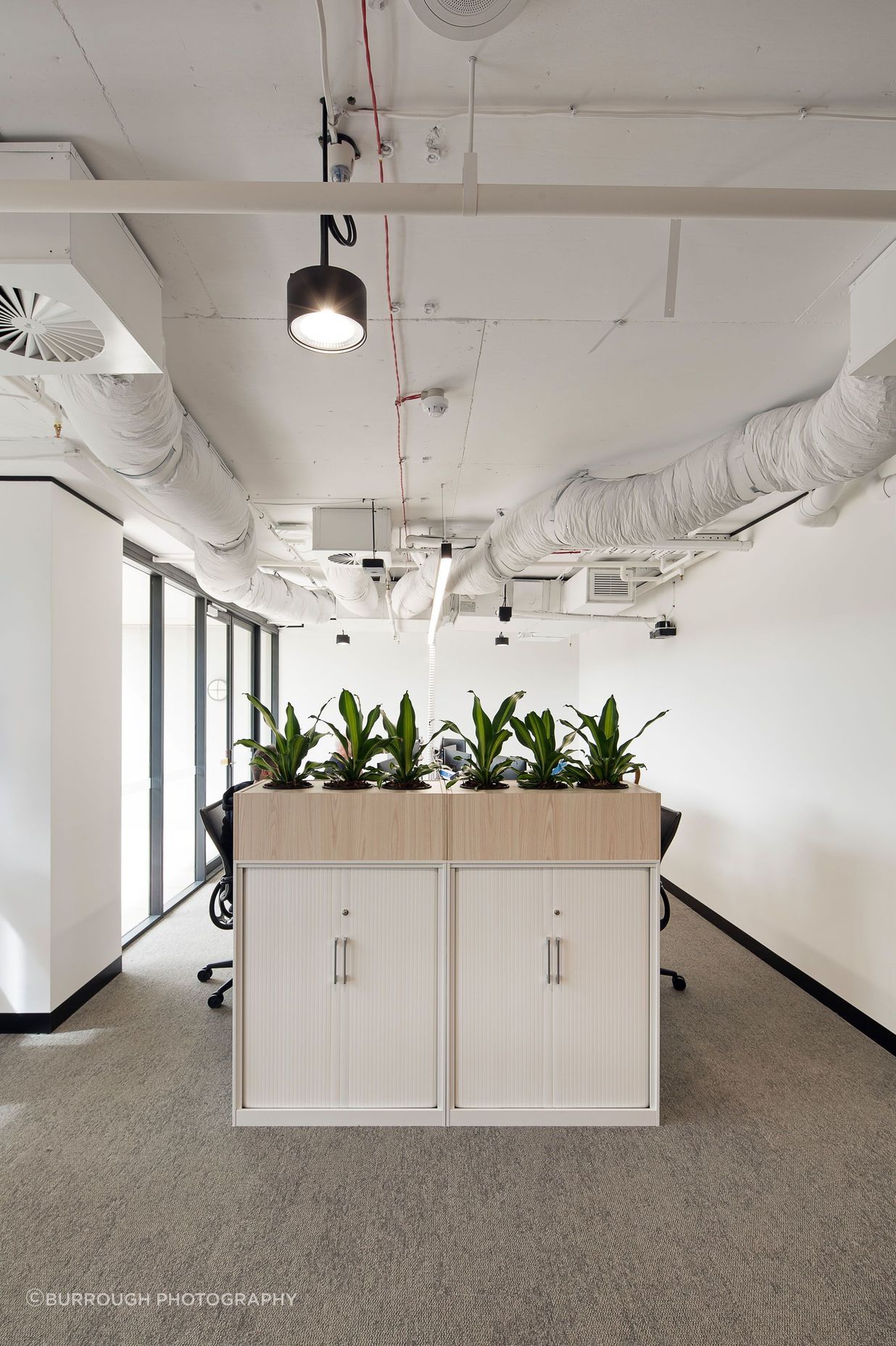 ZurichSydney-Office-Fitout10.jpg