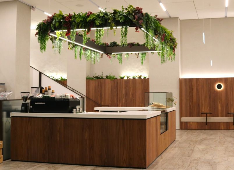 34 Shortland Street - Artificial planting project