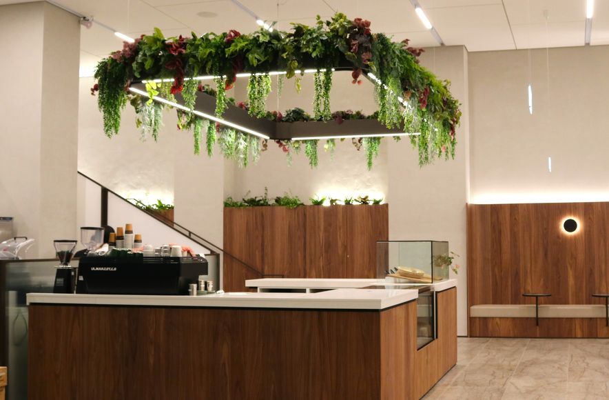 34 Shortland Street - Artificial planting project