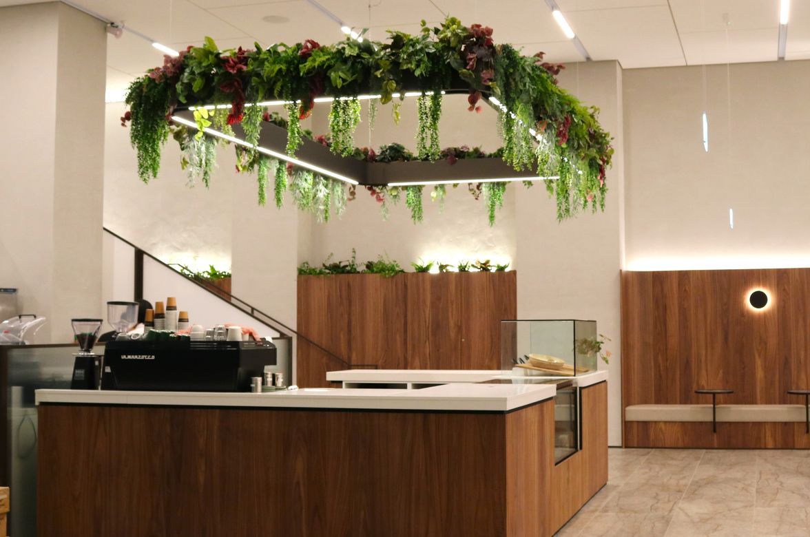 34 Shortland Street - Artificial planting project
