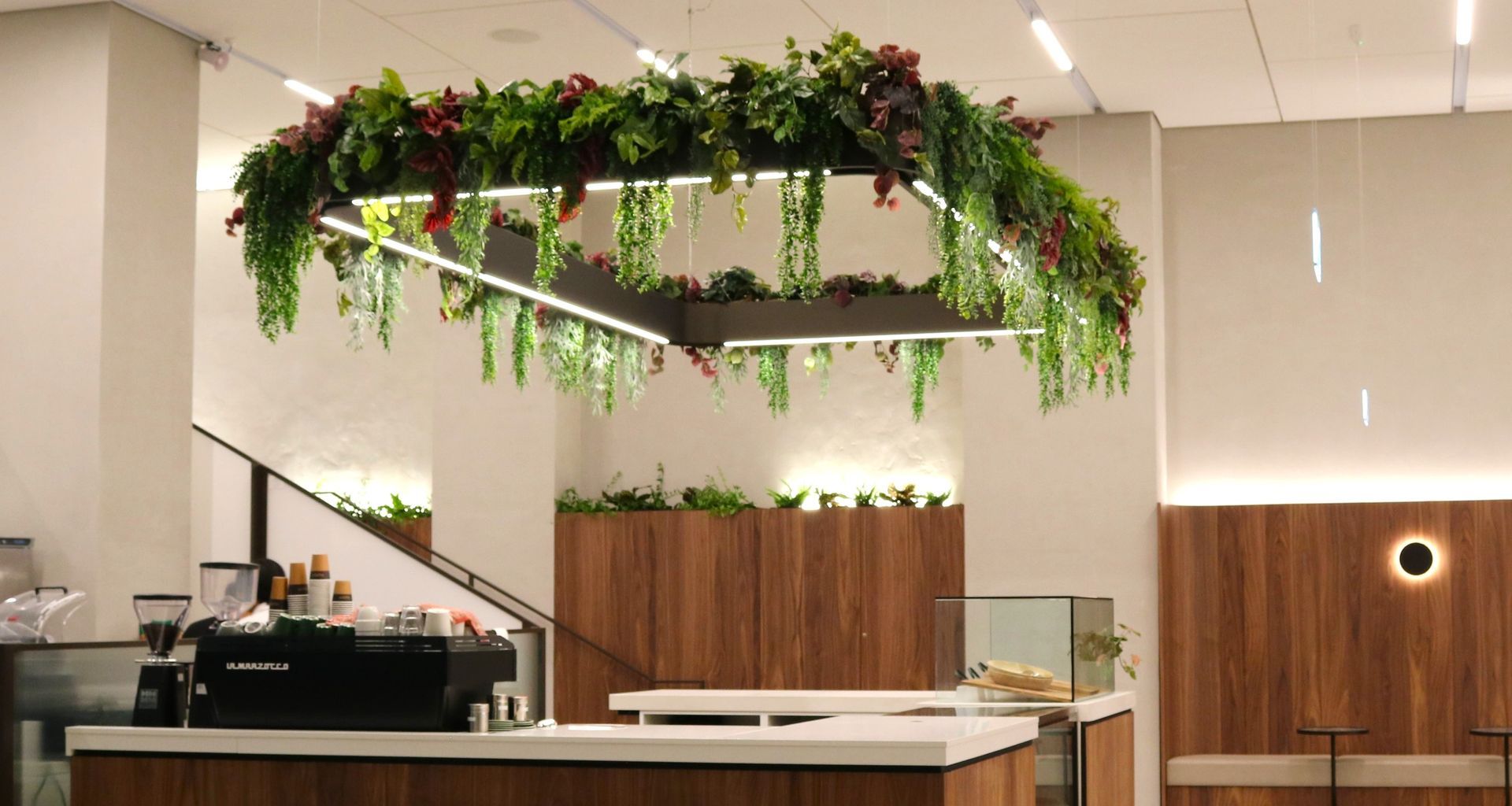 34 Shortland Street - Artificial planting project banner