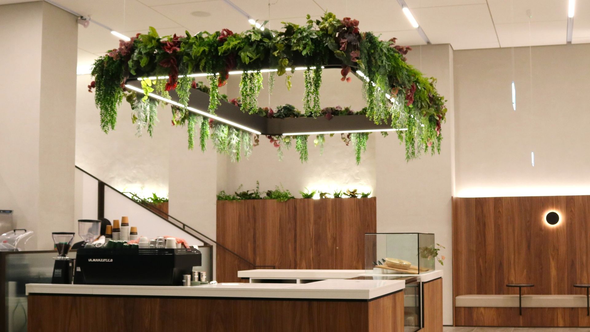34 Shortland Street - Artificial planting project banner