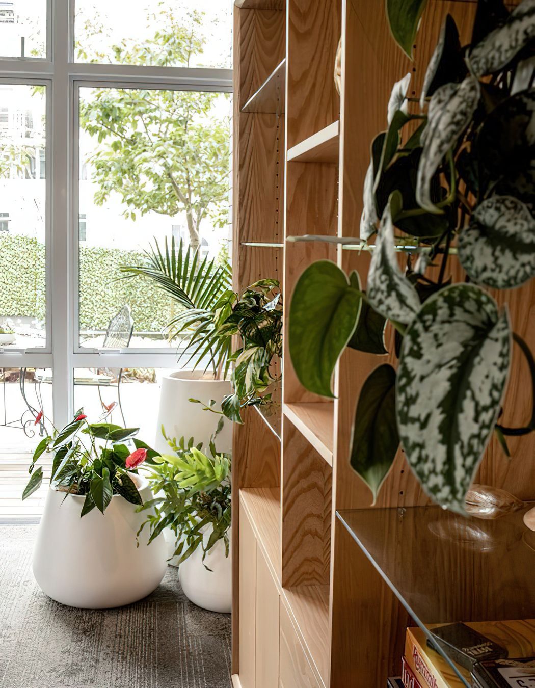 Everil Orr Indoor Plants