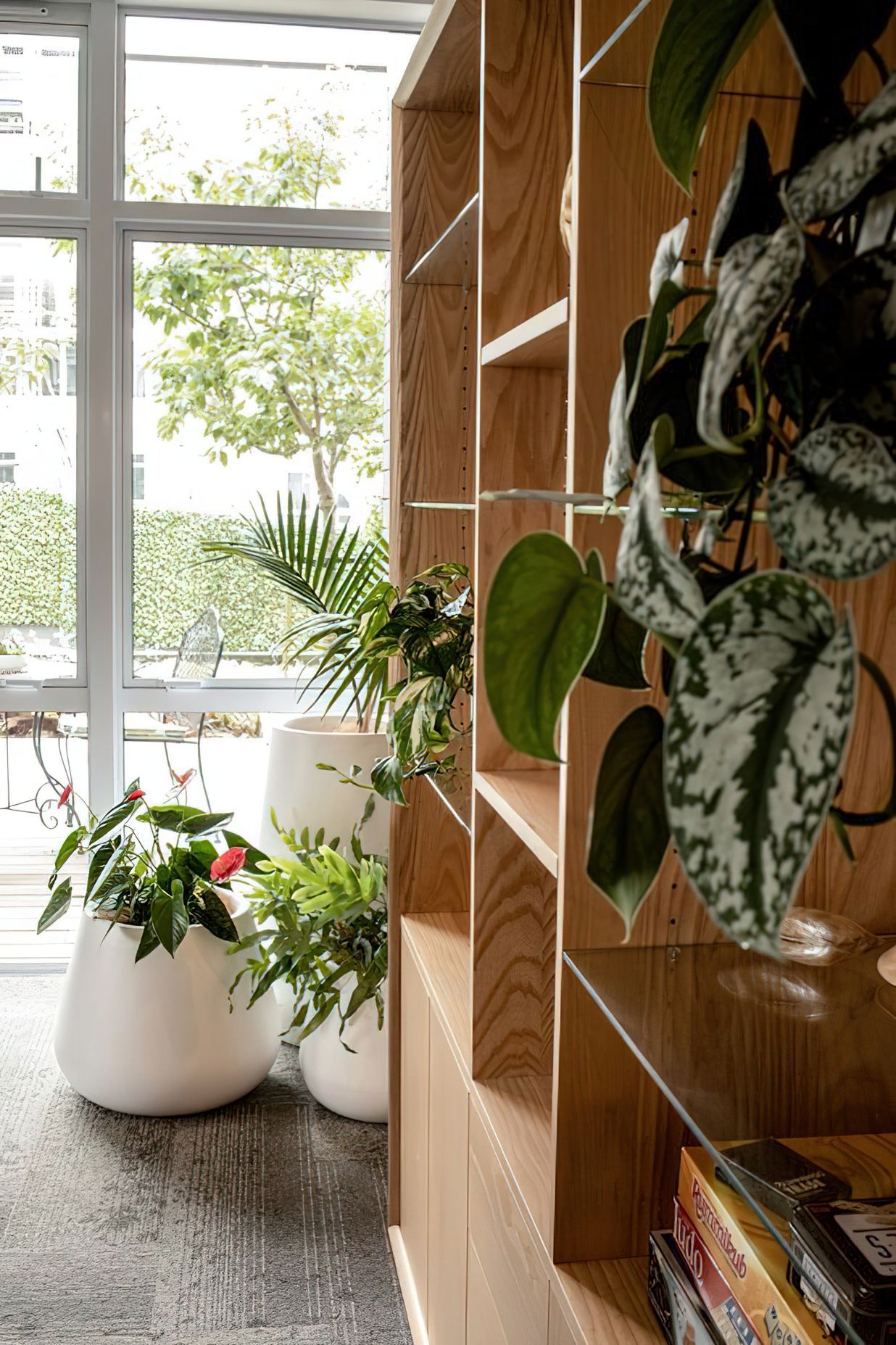 Everil Orr Indoor Plants