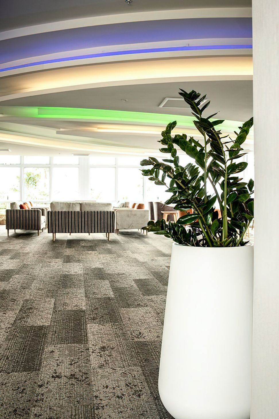 Everil Orr Indoor Plants