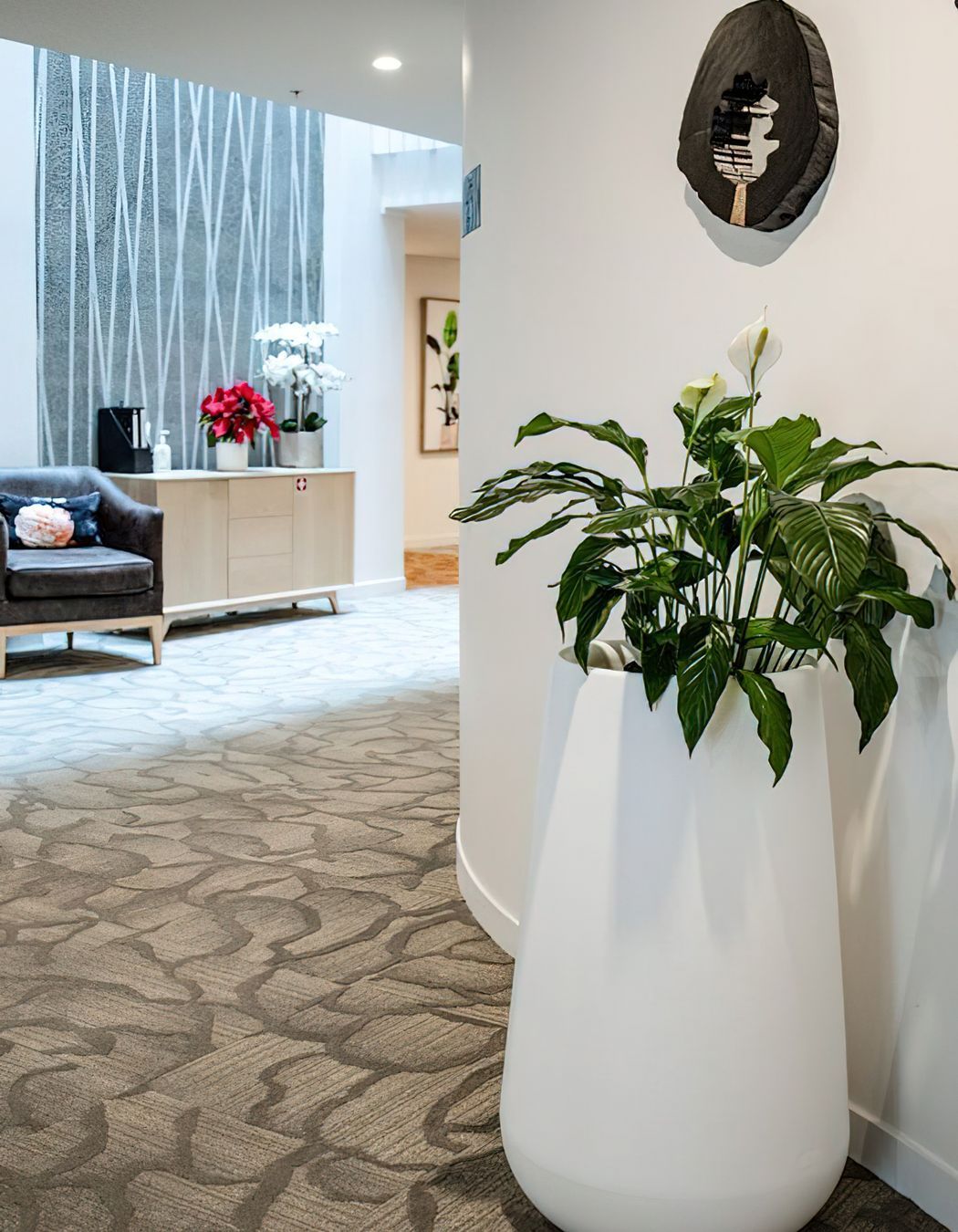 Everil Orr Indoor Plants