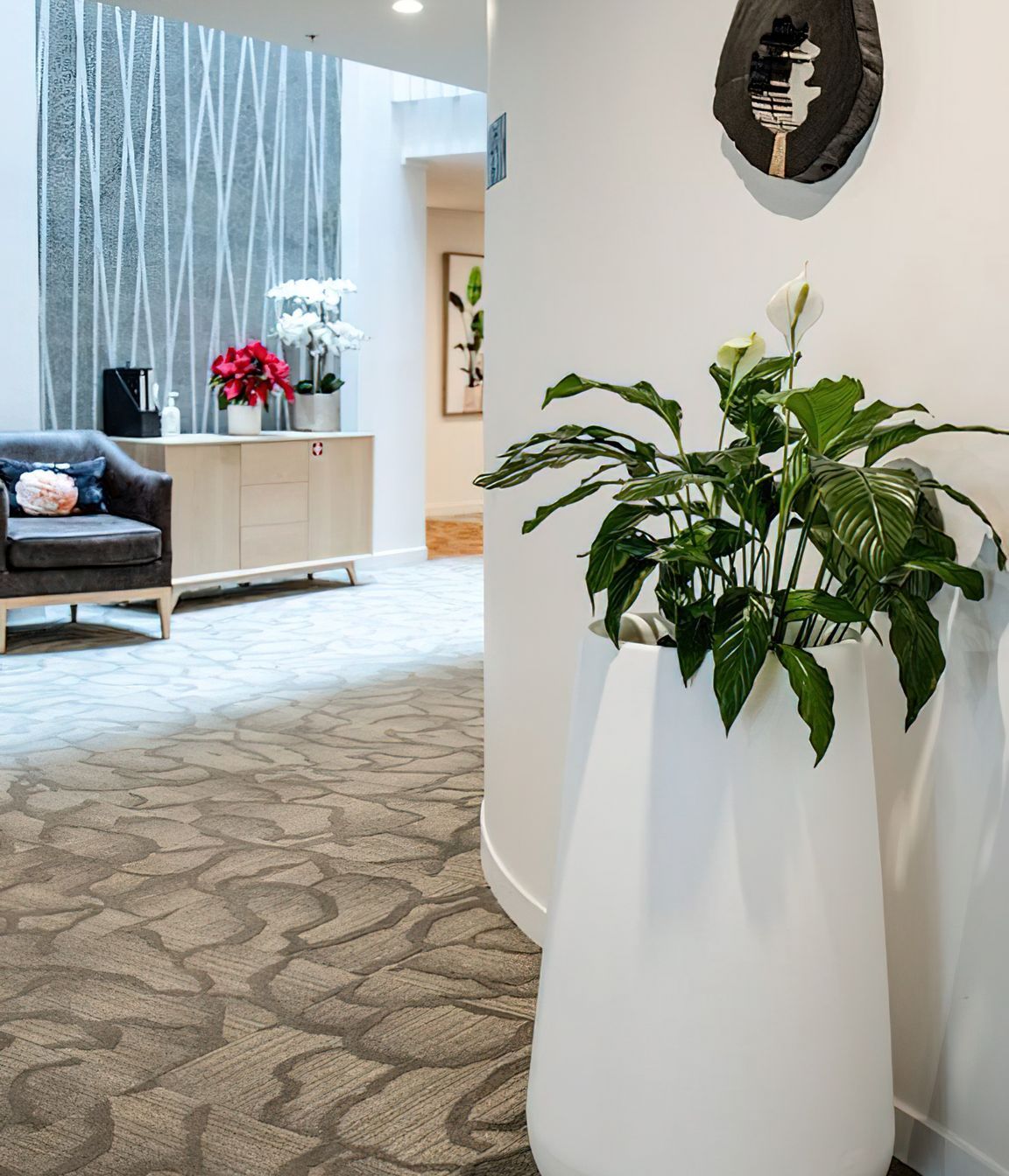 Everil Orr Indoor Plants