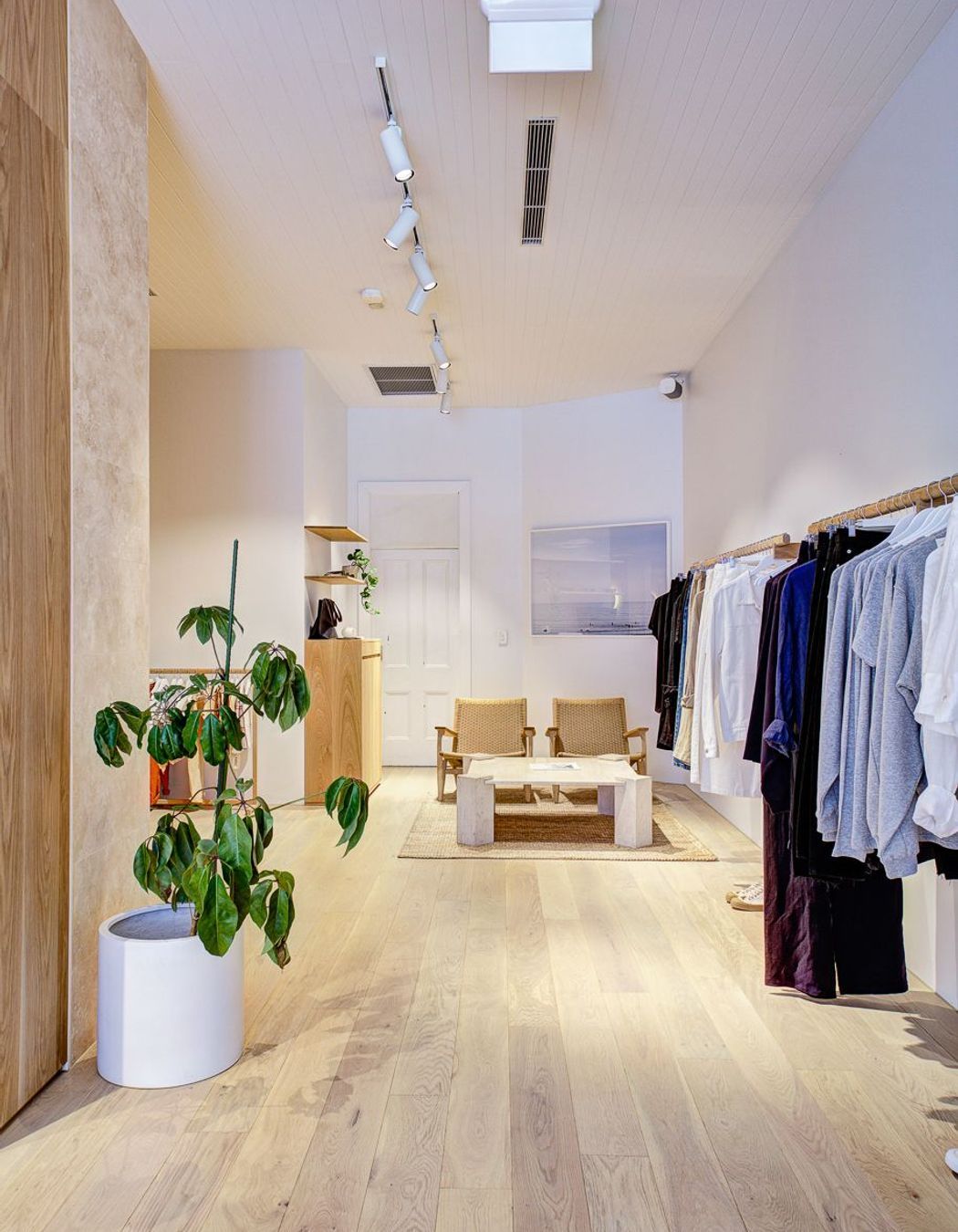 Assembly Label - Mosman | Military Rd, Mosman