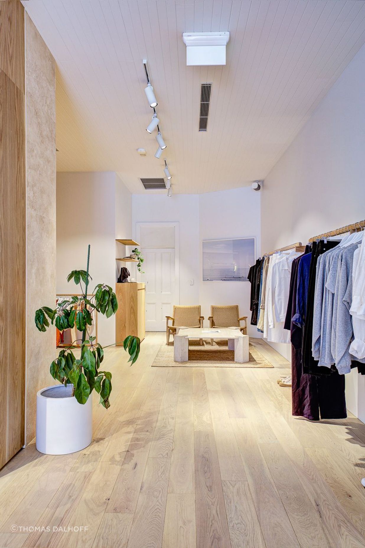 Assembly Label - Mosman | Military Rd, Mosman