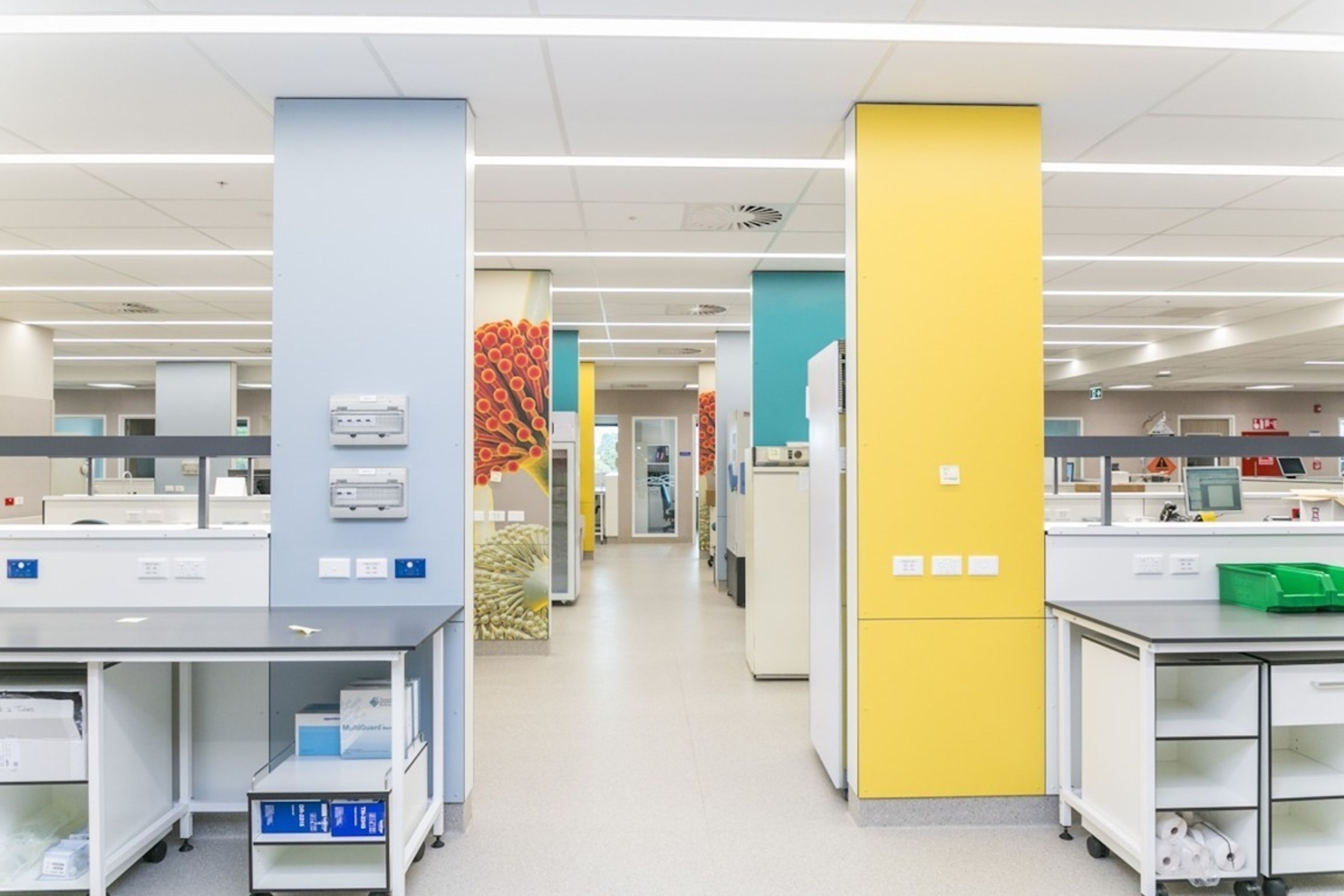 Middlemore Hospital