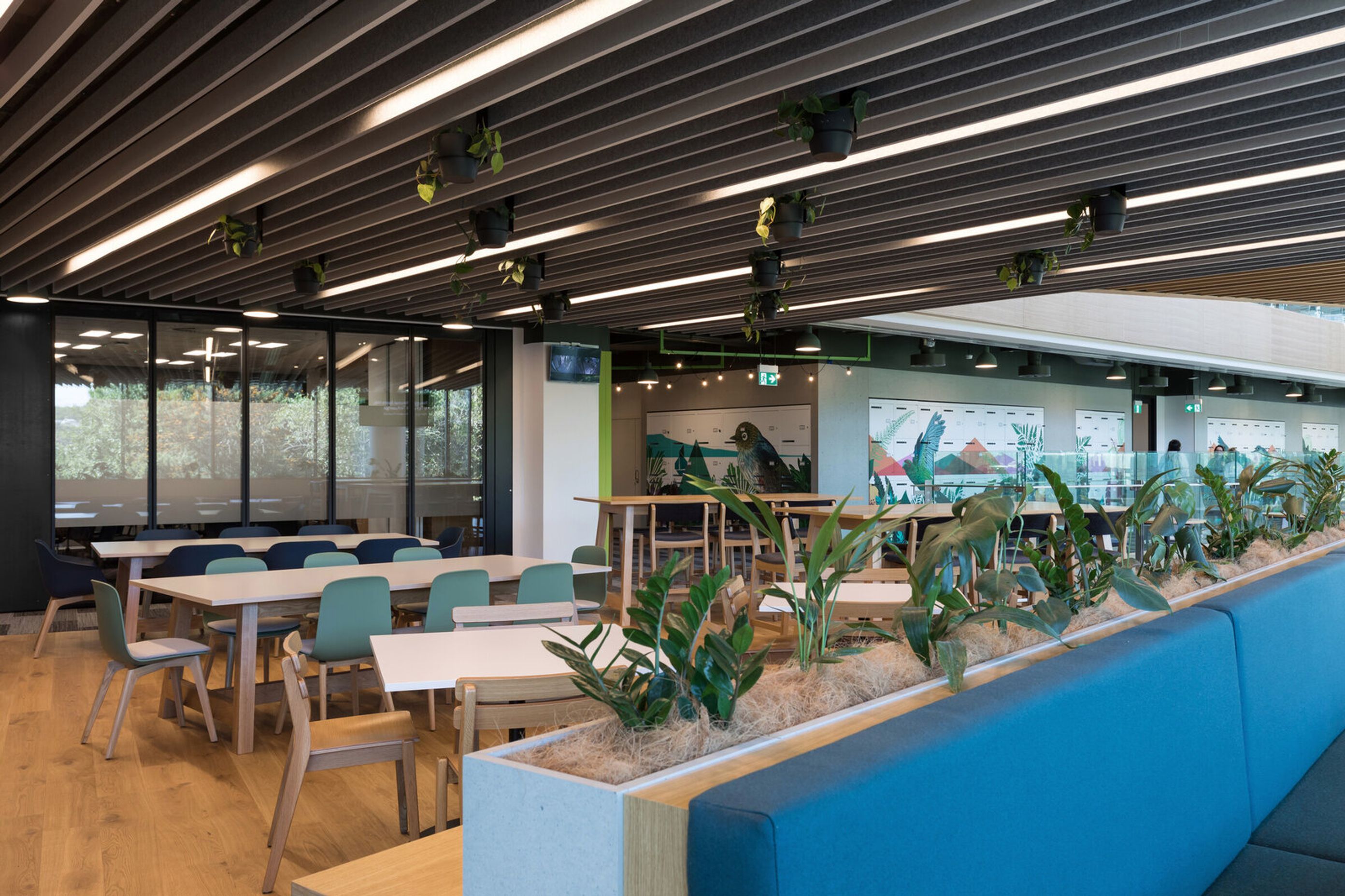 Kiwibank