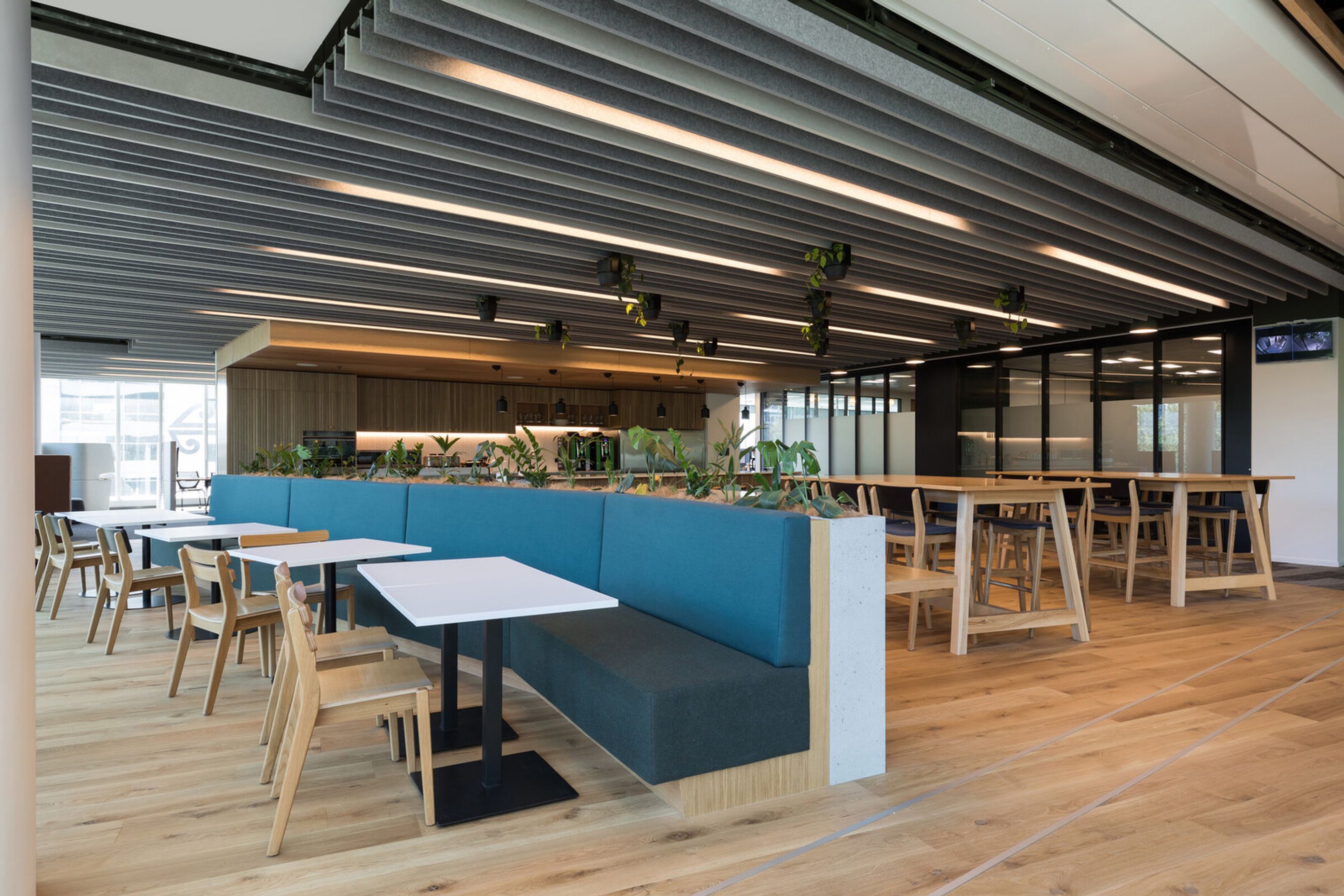 Kiwibank