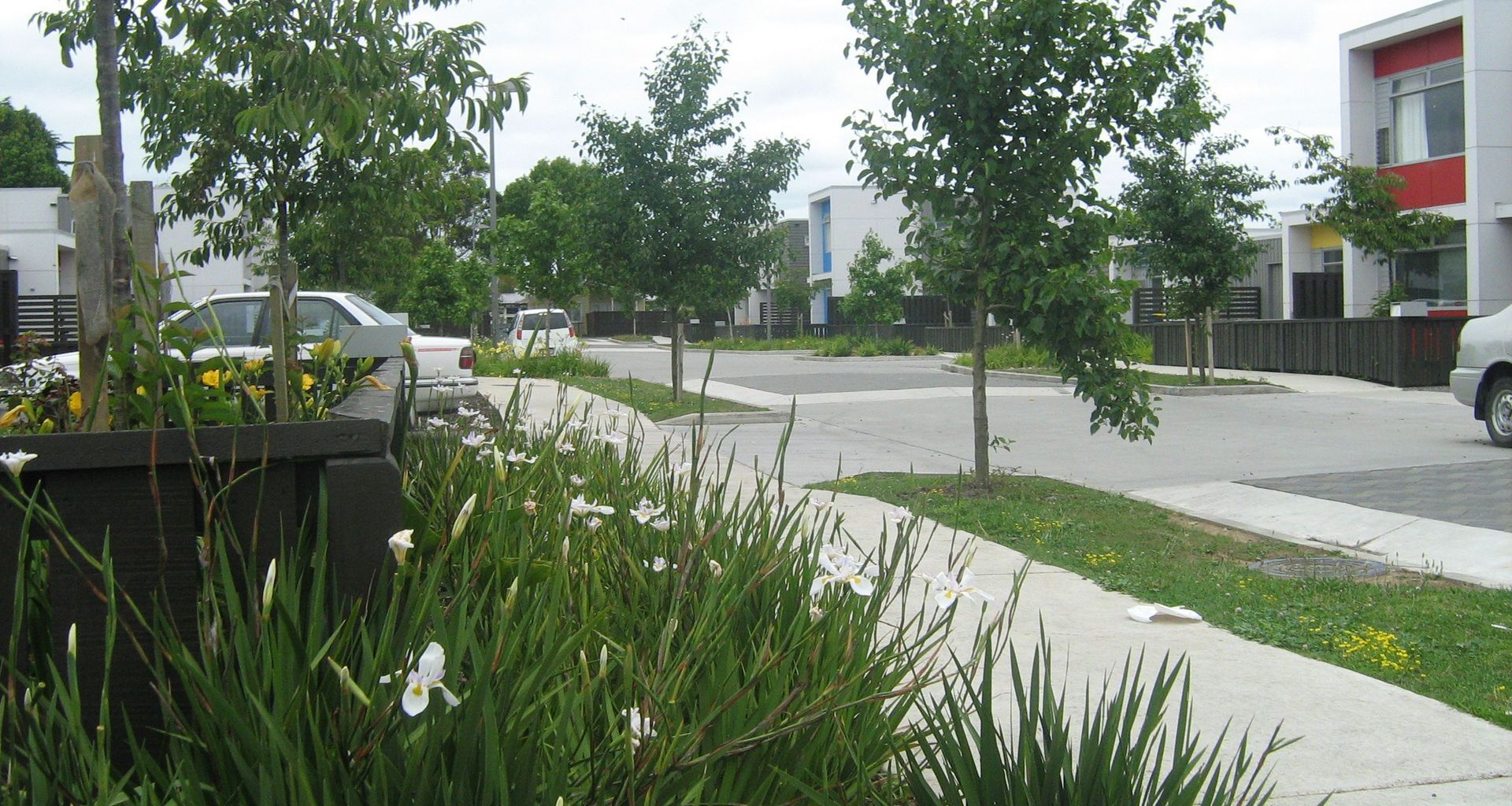 Streetscapes banner