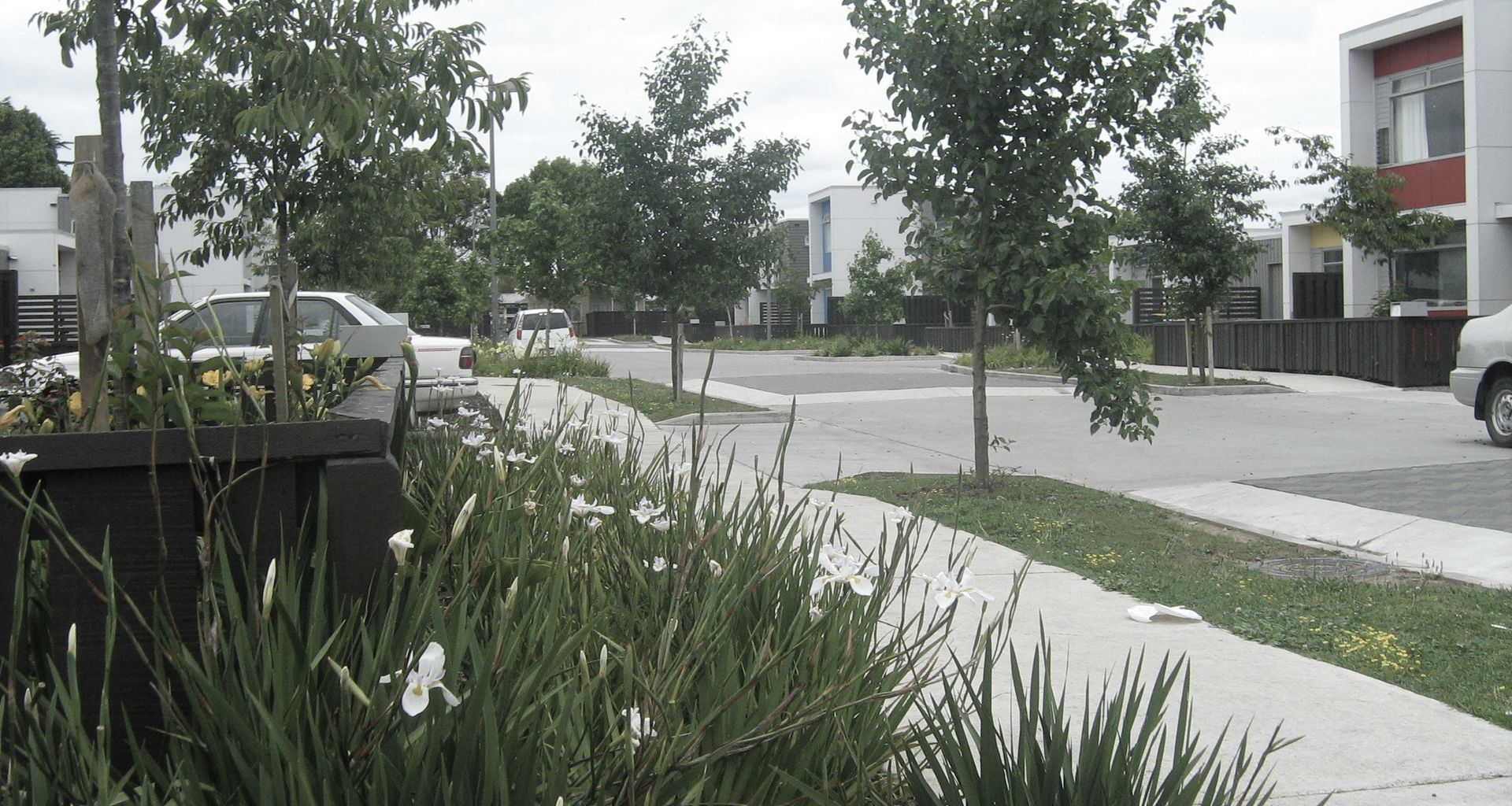 Streetscapes banner