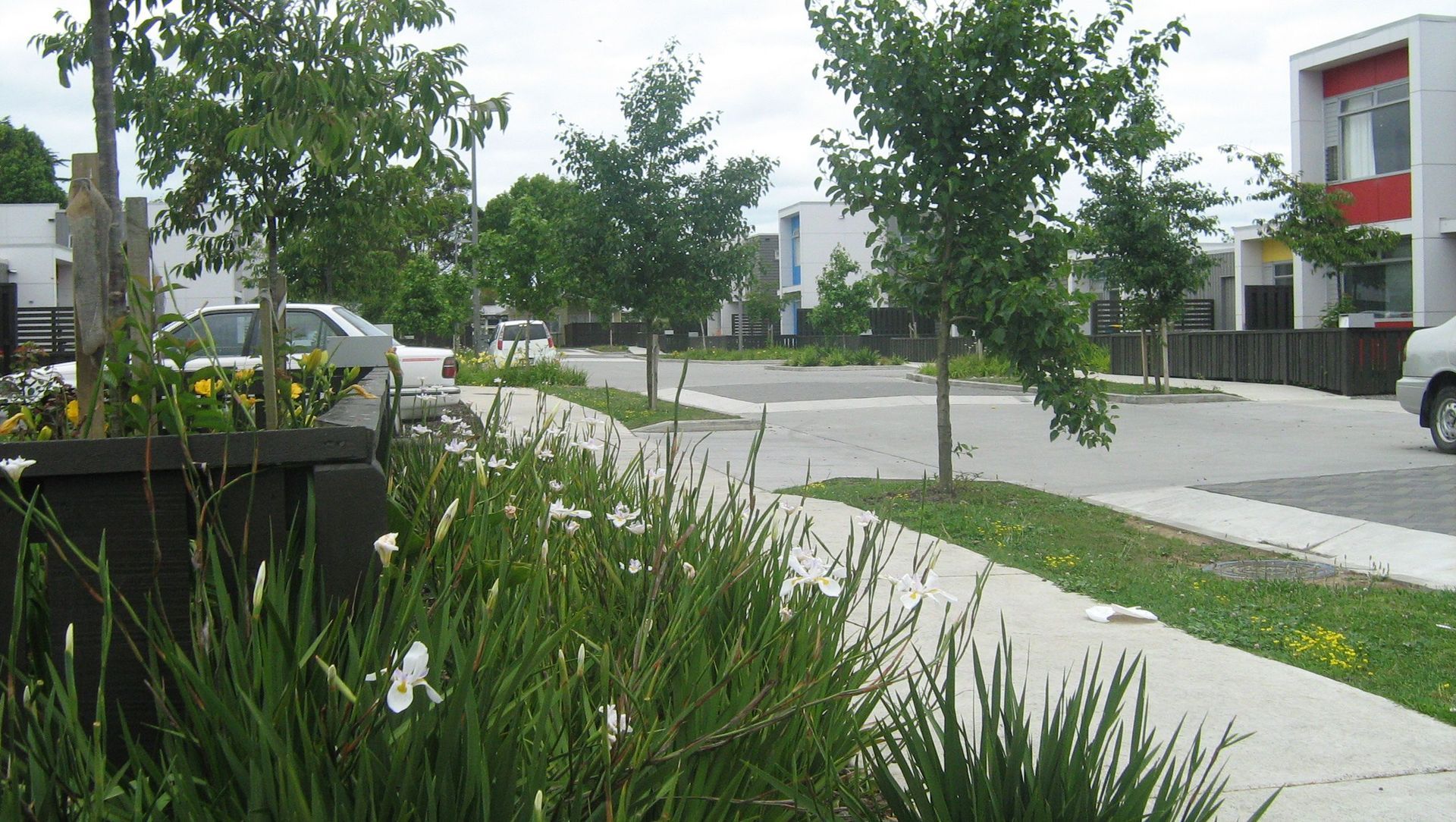 Streetscapes banner