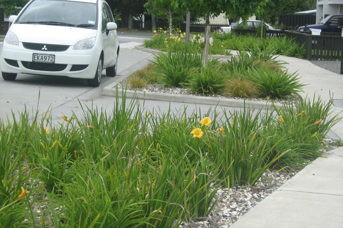 Streetscapes
