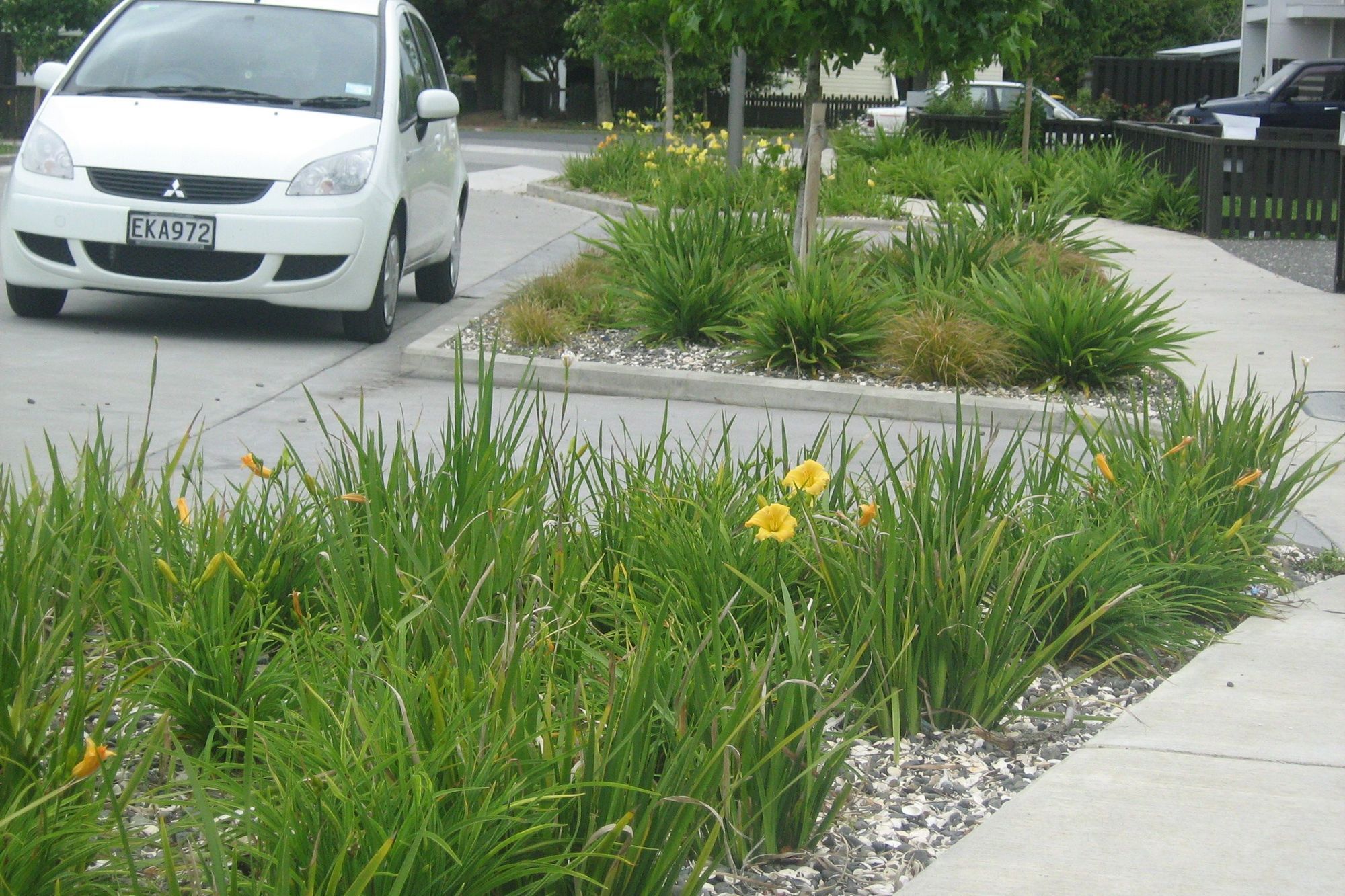 Streetscapes