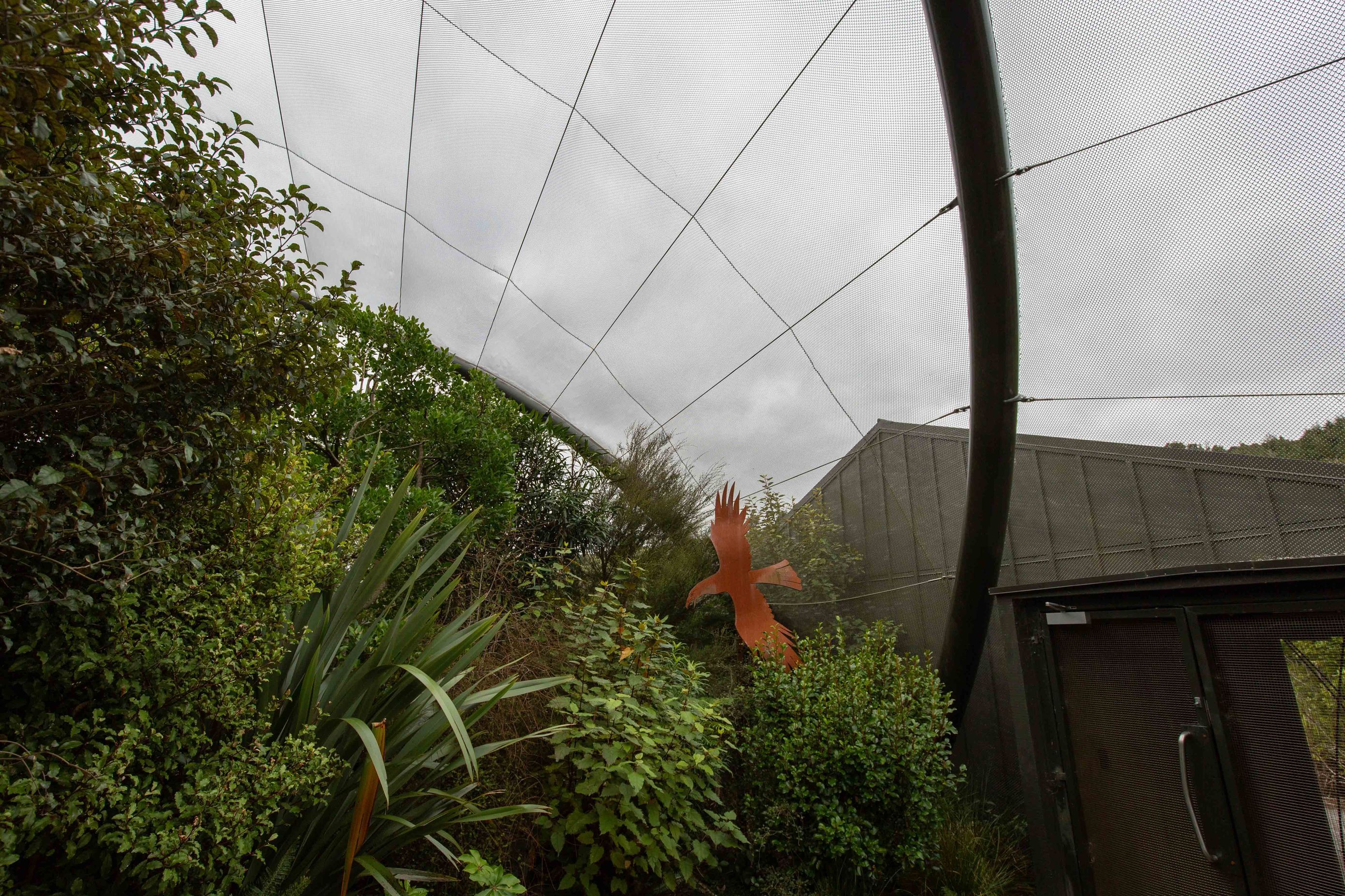 Pukaka/Mount Bruce National Wildlife Centre