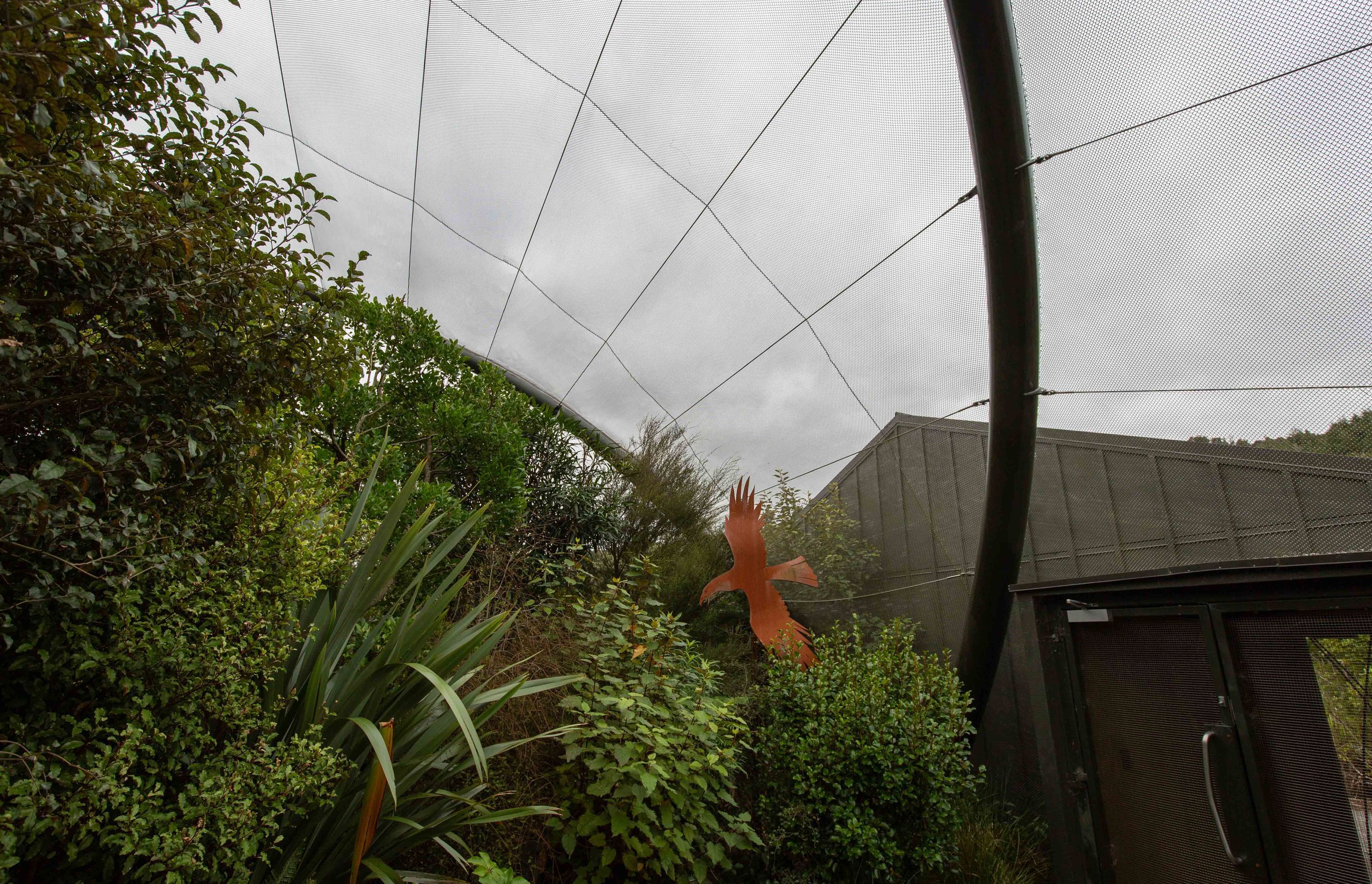Pukaka/Mount Bruce National Wildlife Centre