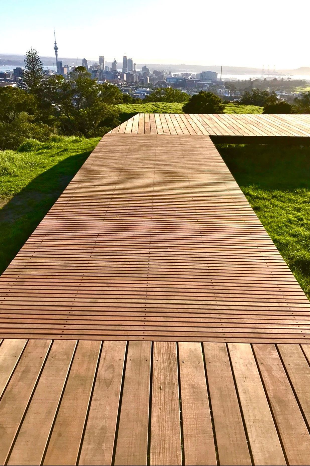 Maungawhau / Mt Eden Boardwalk