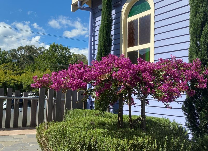 The Purple Church' Commercial Project - Yarra Valley