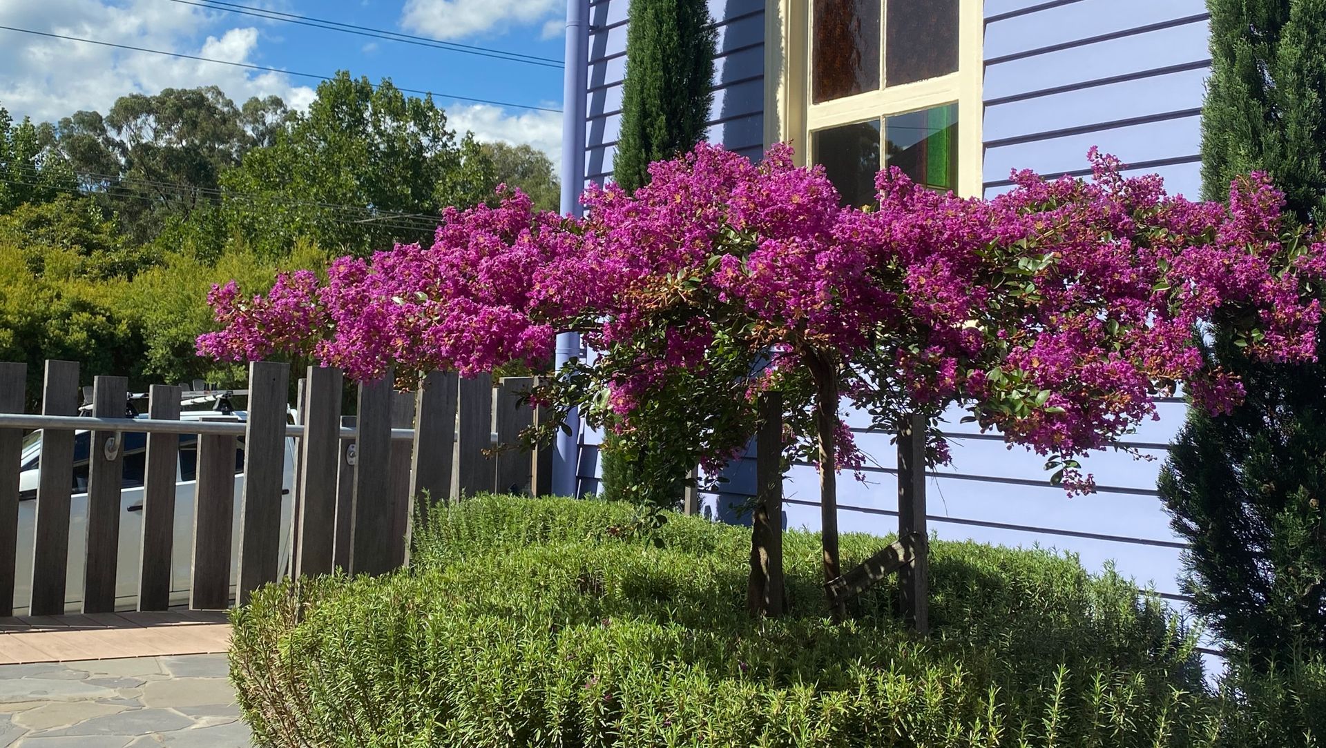 The Purple Church' Commercial Project - Yarra Valley banner