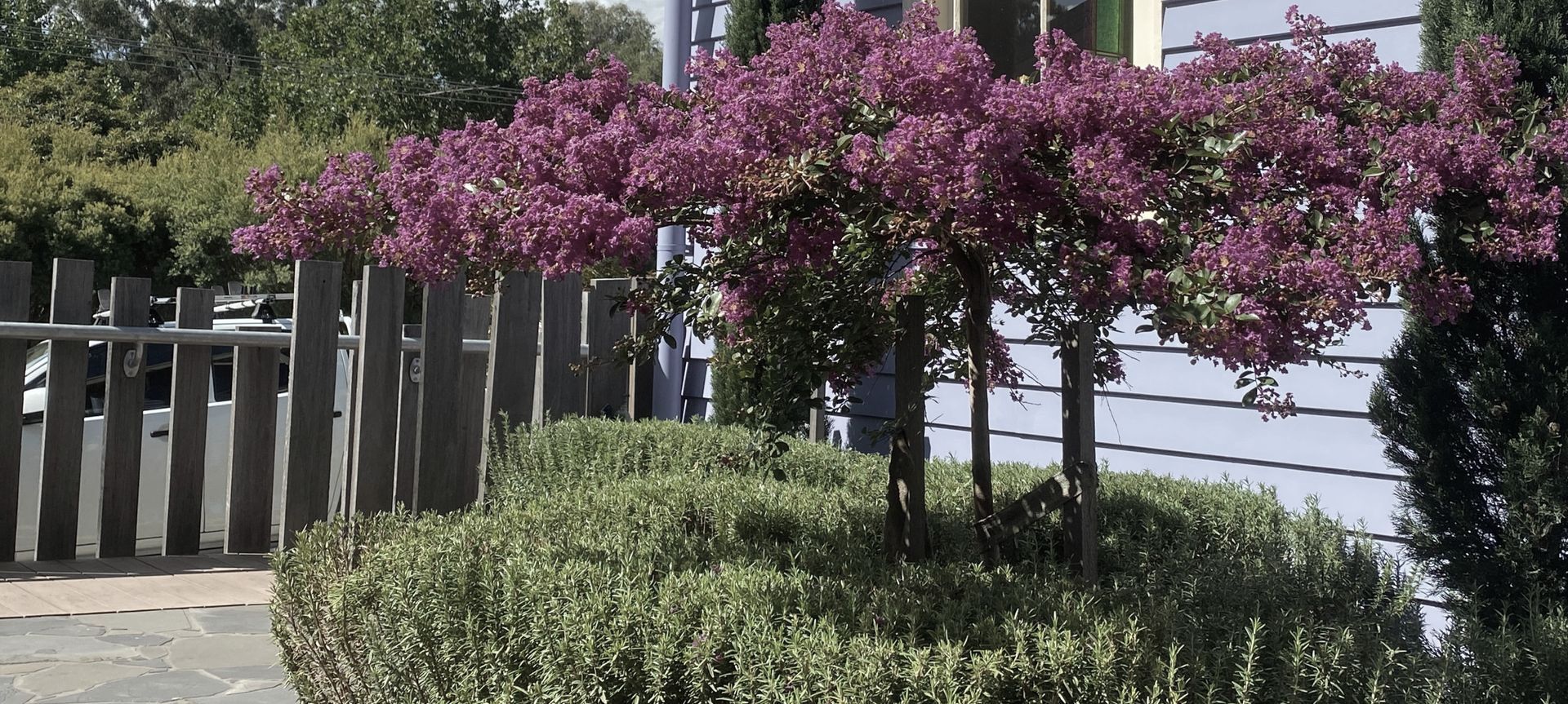 The Purple Church' Commercial Project - Yarra Valley banner