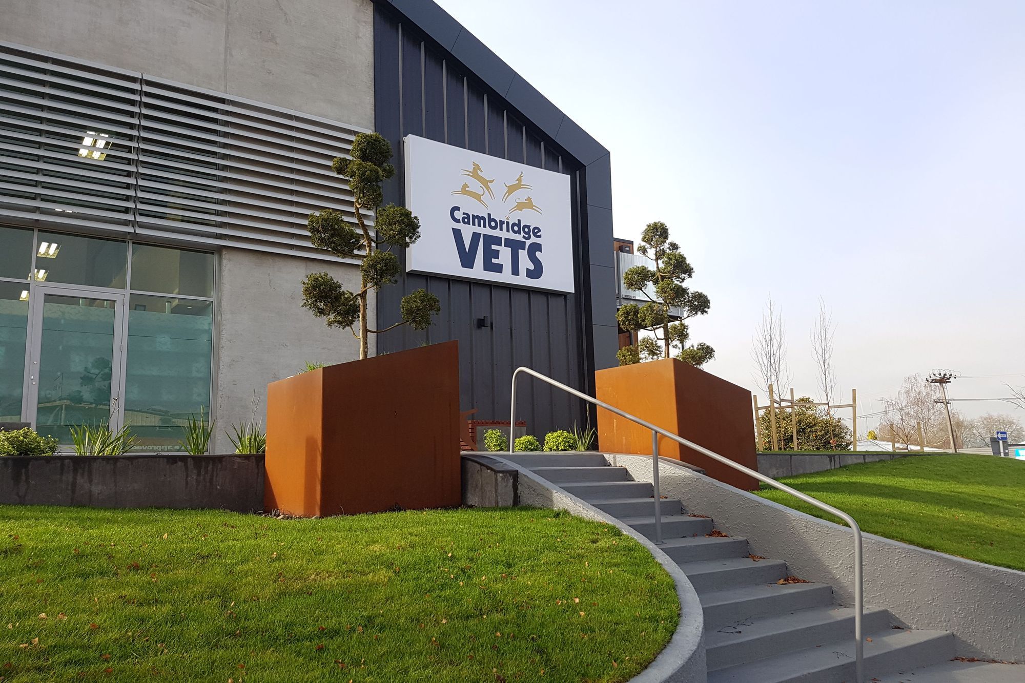 Cambridge Vets