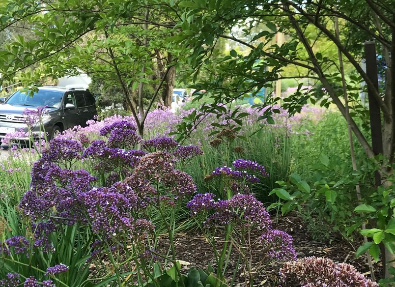 The Purple Church' Commercial Project - Yarra Valley