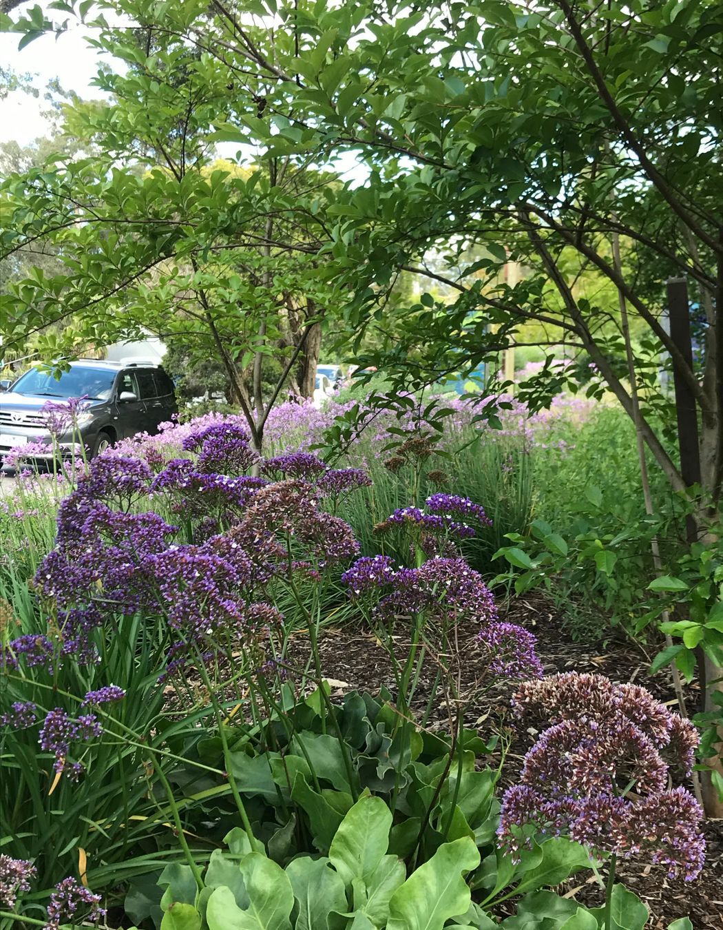 ##^^Purple Church, Commercial Project In Yarra Valley