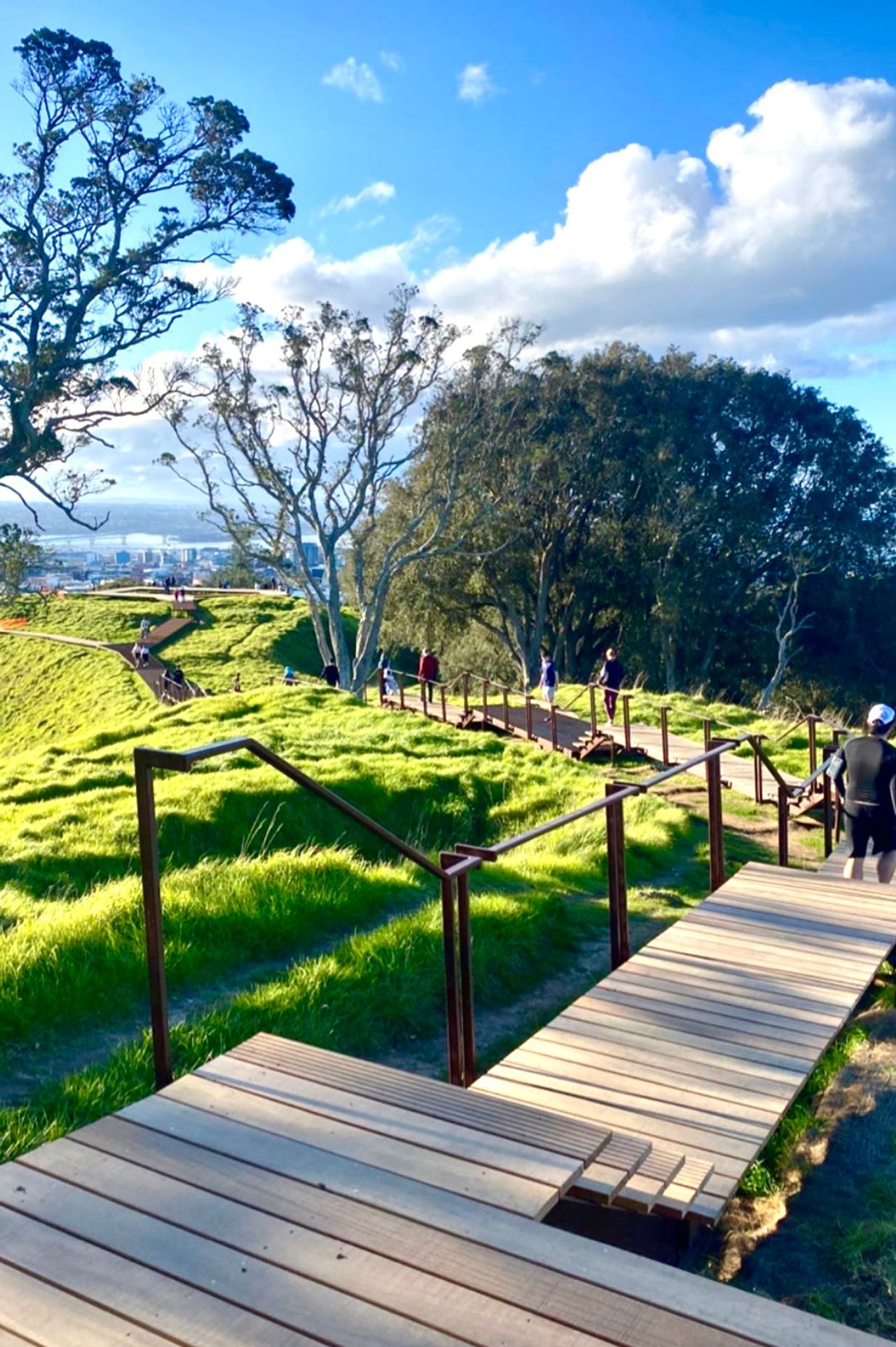 Maungawhau / Mt Eden Boardwalk