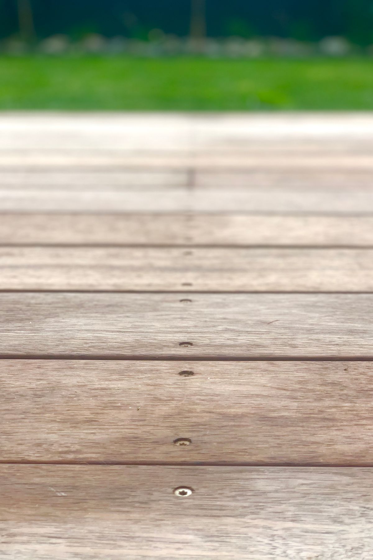 Maungawhau / Mt Eden Boardwalk