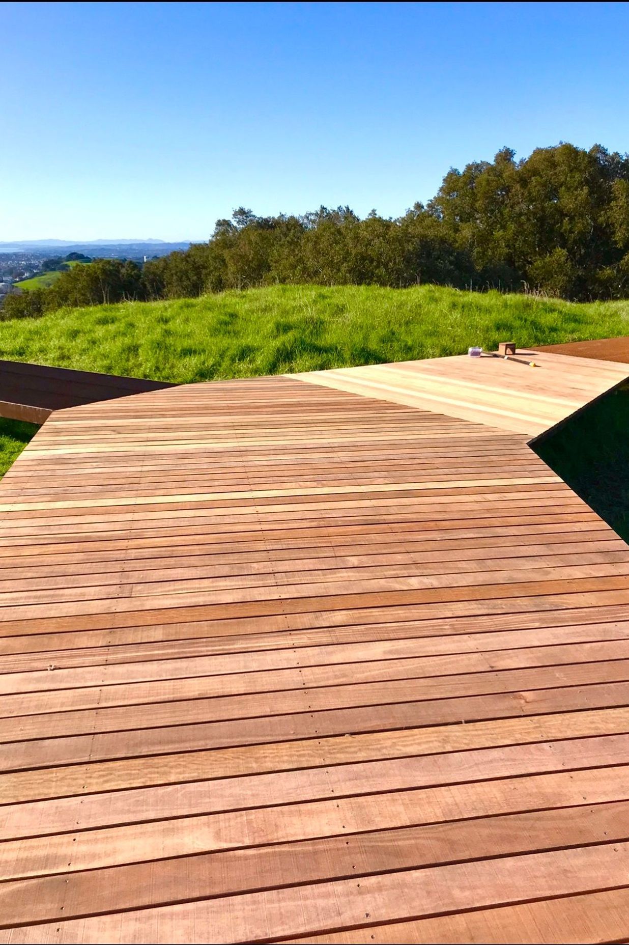 Maungawhau / Mt Eden Boardwalk