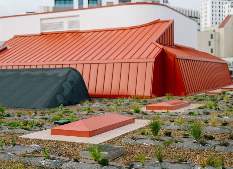 Auckland City Library Green Roof