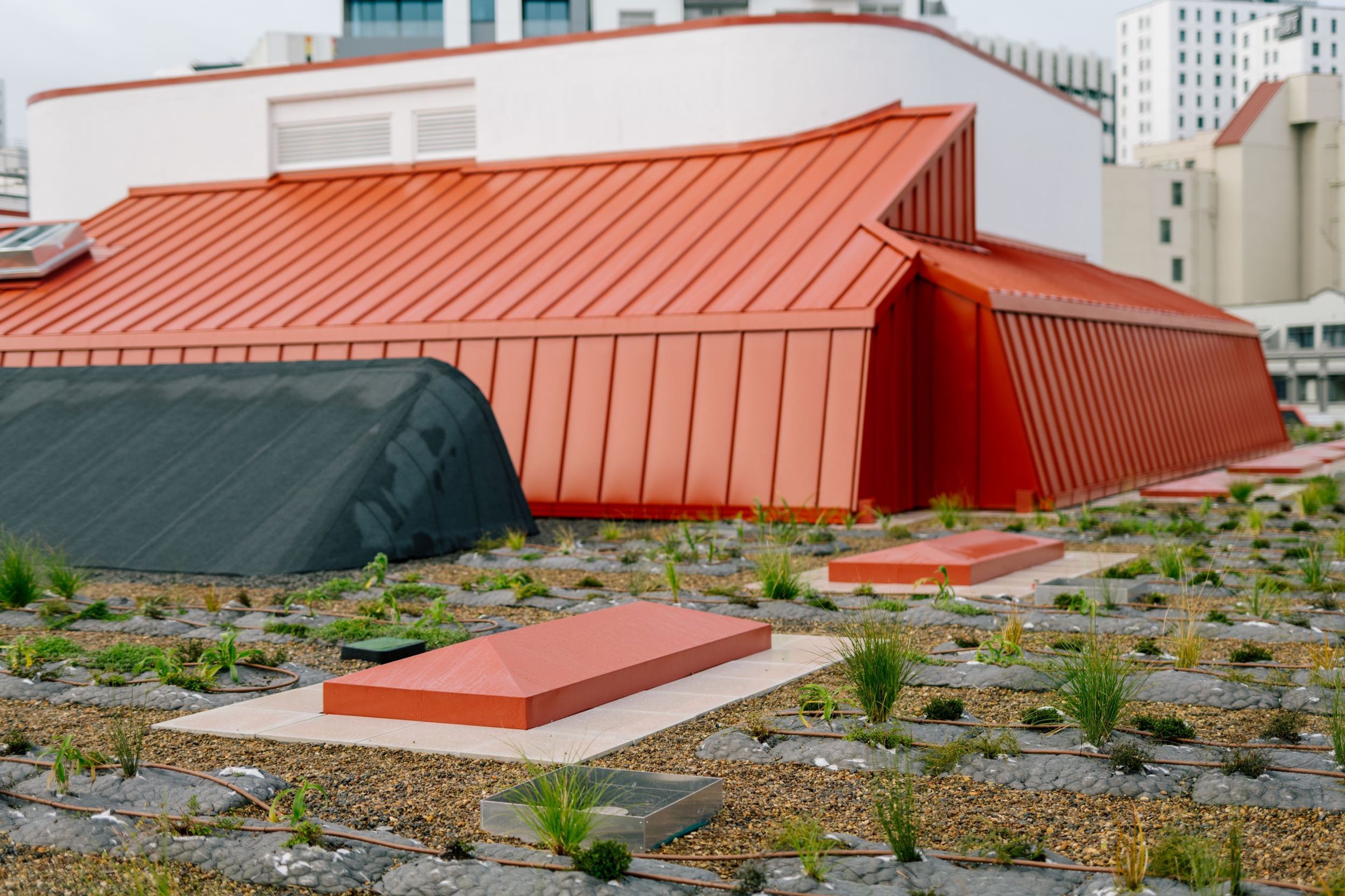 Auckland City Library Green Roof