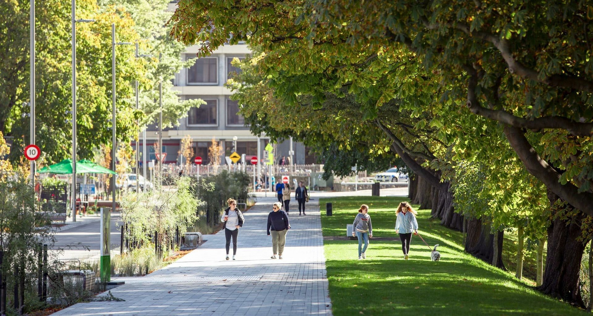 Avon River Precinct banner