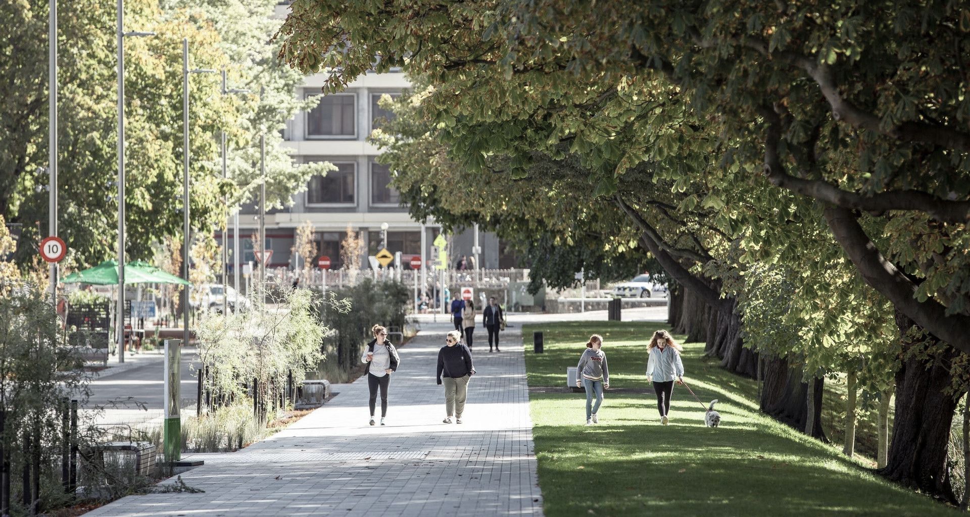 Avon River Precinct banner